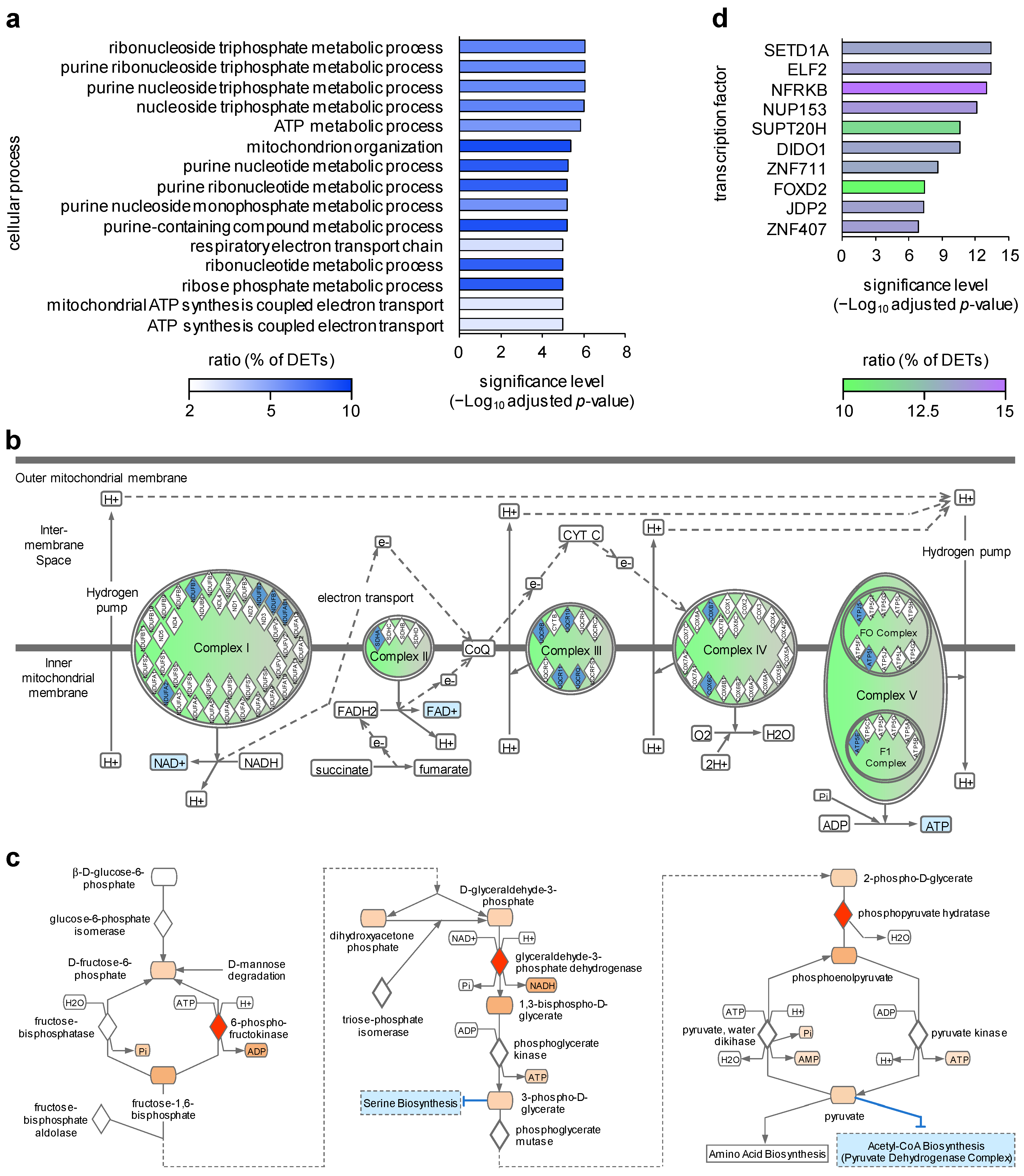 Ijms 24 08854 g002 Ijms 24 08854 g002