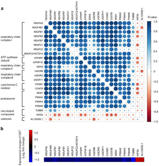 IJMS Free FullText Blood T Helper Memory Cells A Tool for