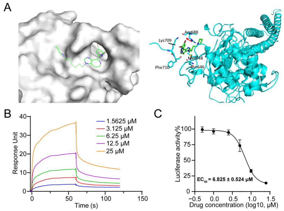 Ijms 24 08859 g001 Ijms 24 08859 g001