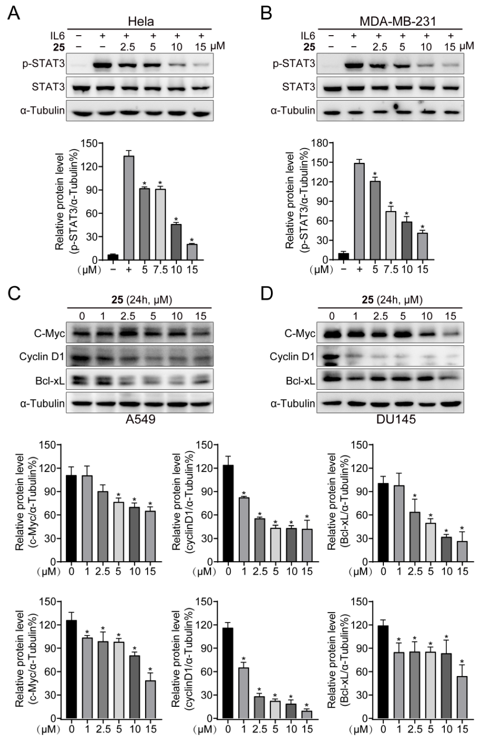 Ijms 24 08859 g003 Ijms 24 08859 g003