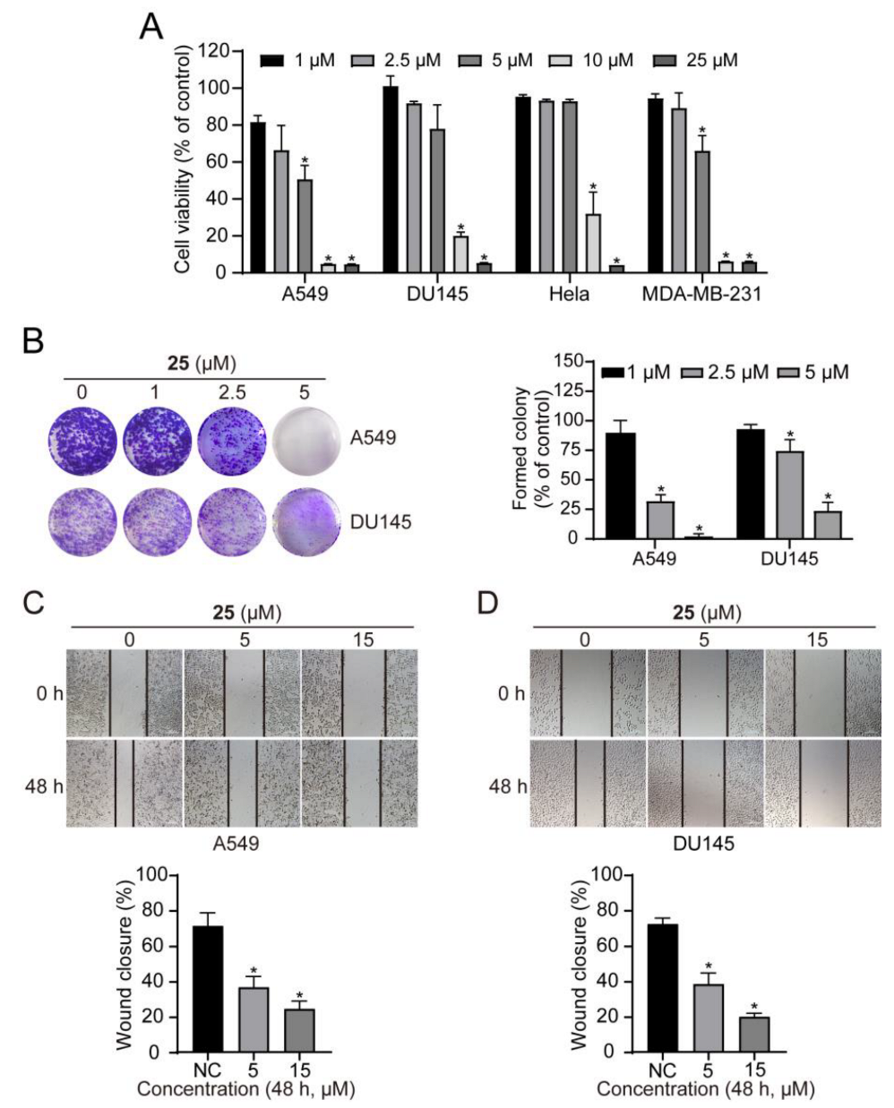 Ijms 24 08859 g005 Ijms 24 08859 g005
