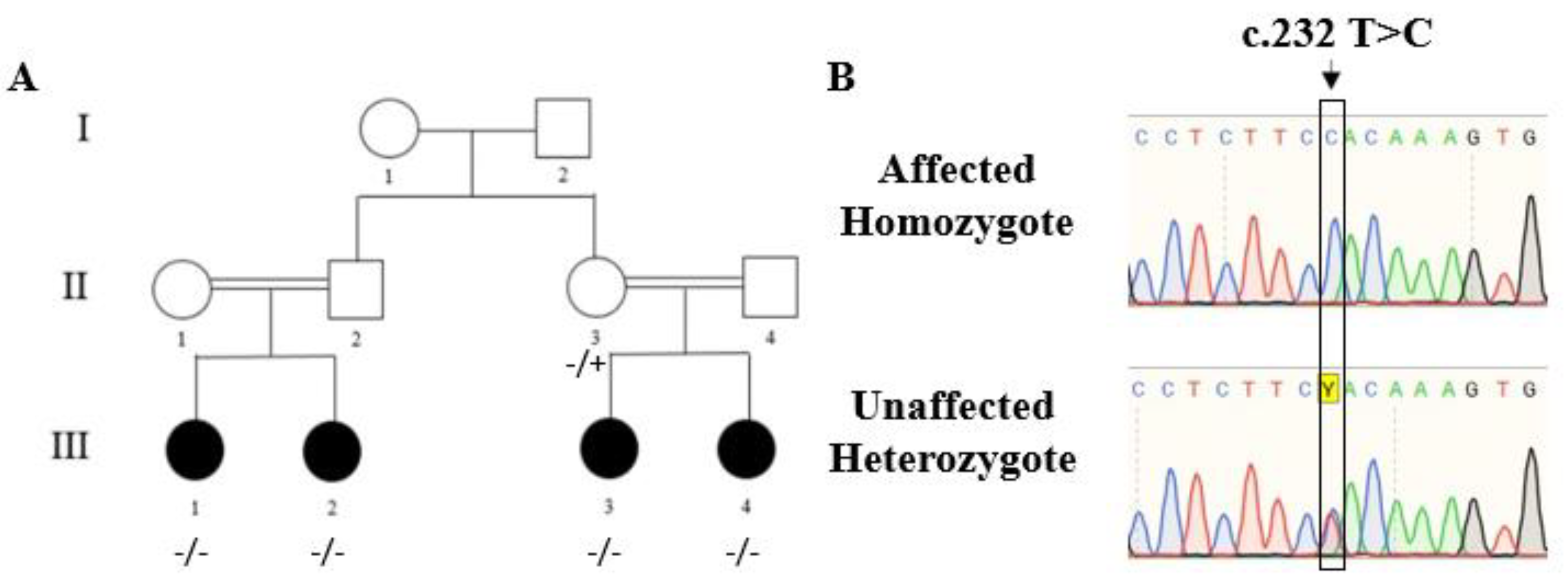 Ijms 24 08864 g001 Ijms 24 08864 g001