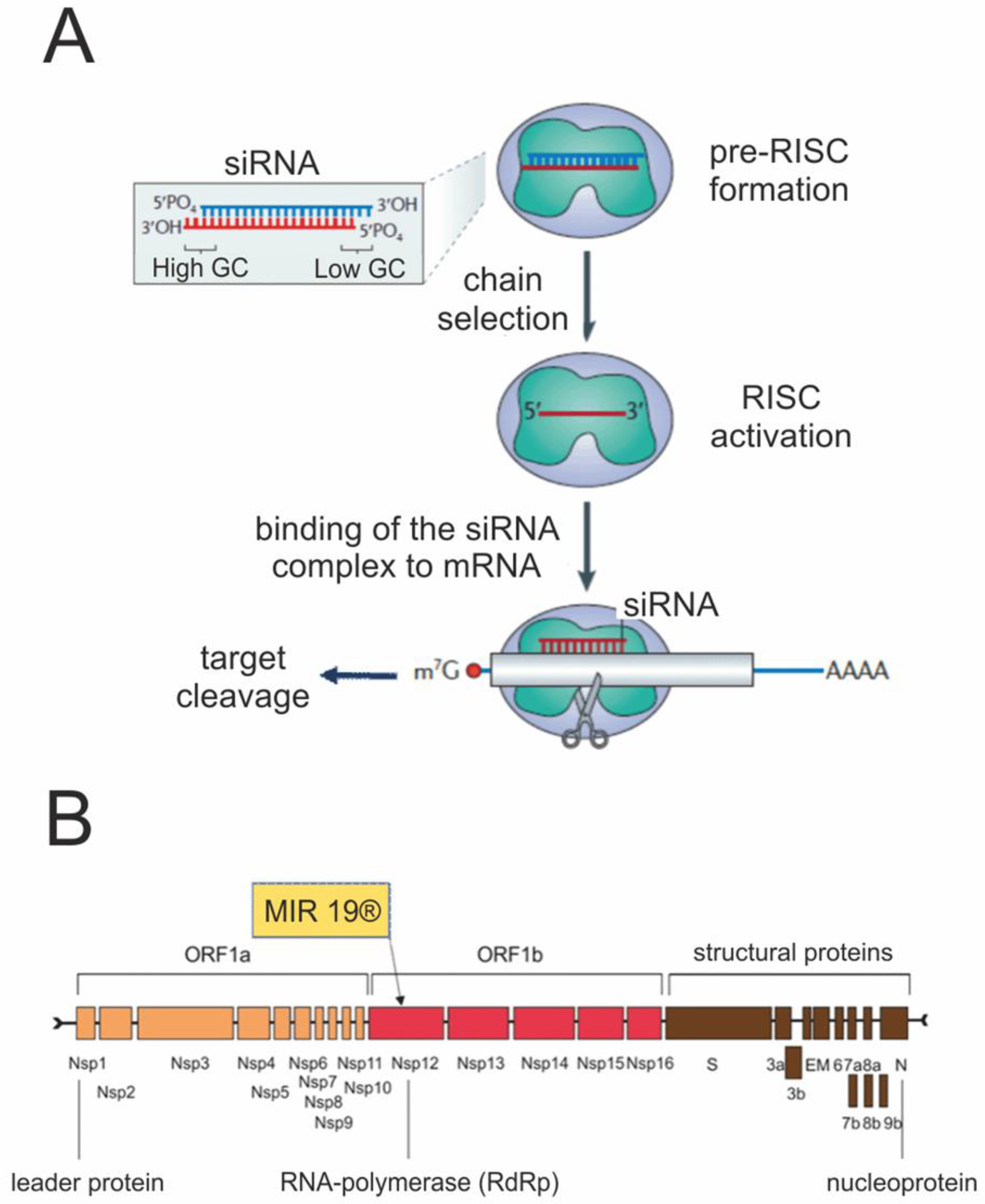 Ijms 24 08867 g002 Ijms 24 08867 g002