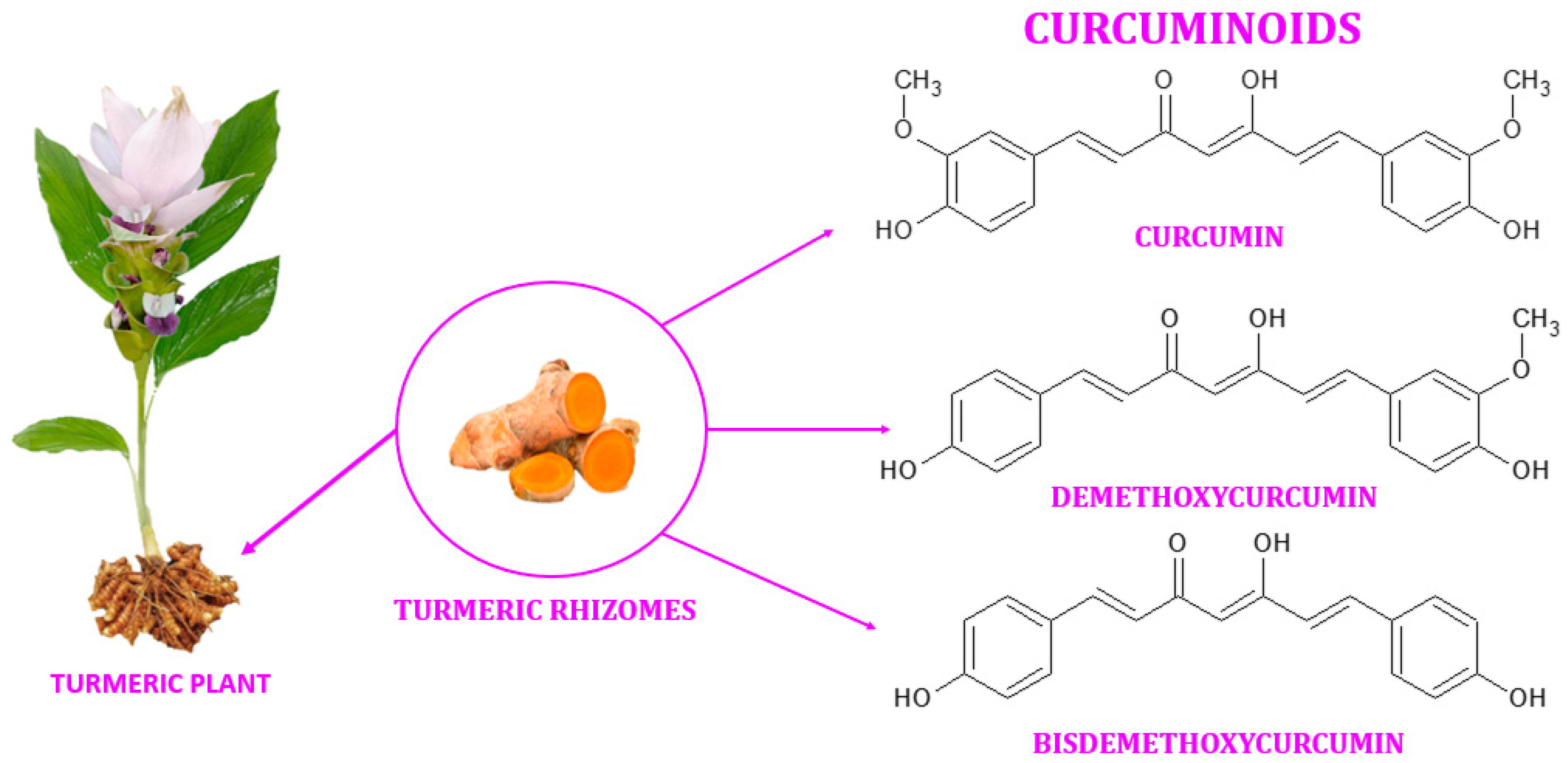 https://www.mdpi.com/ijms/ijms-24-08874/article_deploy/html/images/ijms-24-08874-g001.png