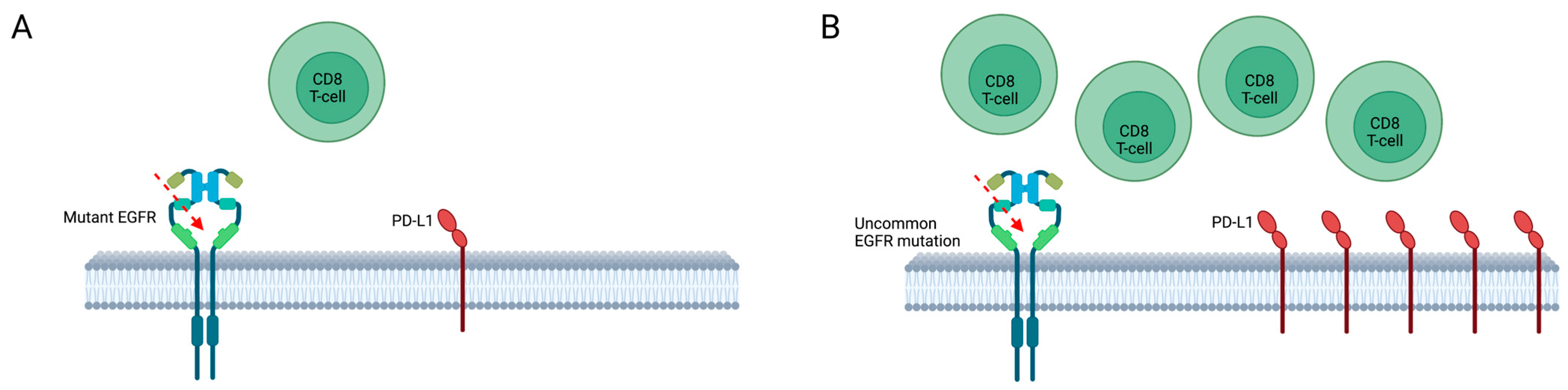 Ijms 24 08878 g002 Ijms 24 08878 g002