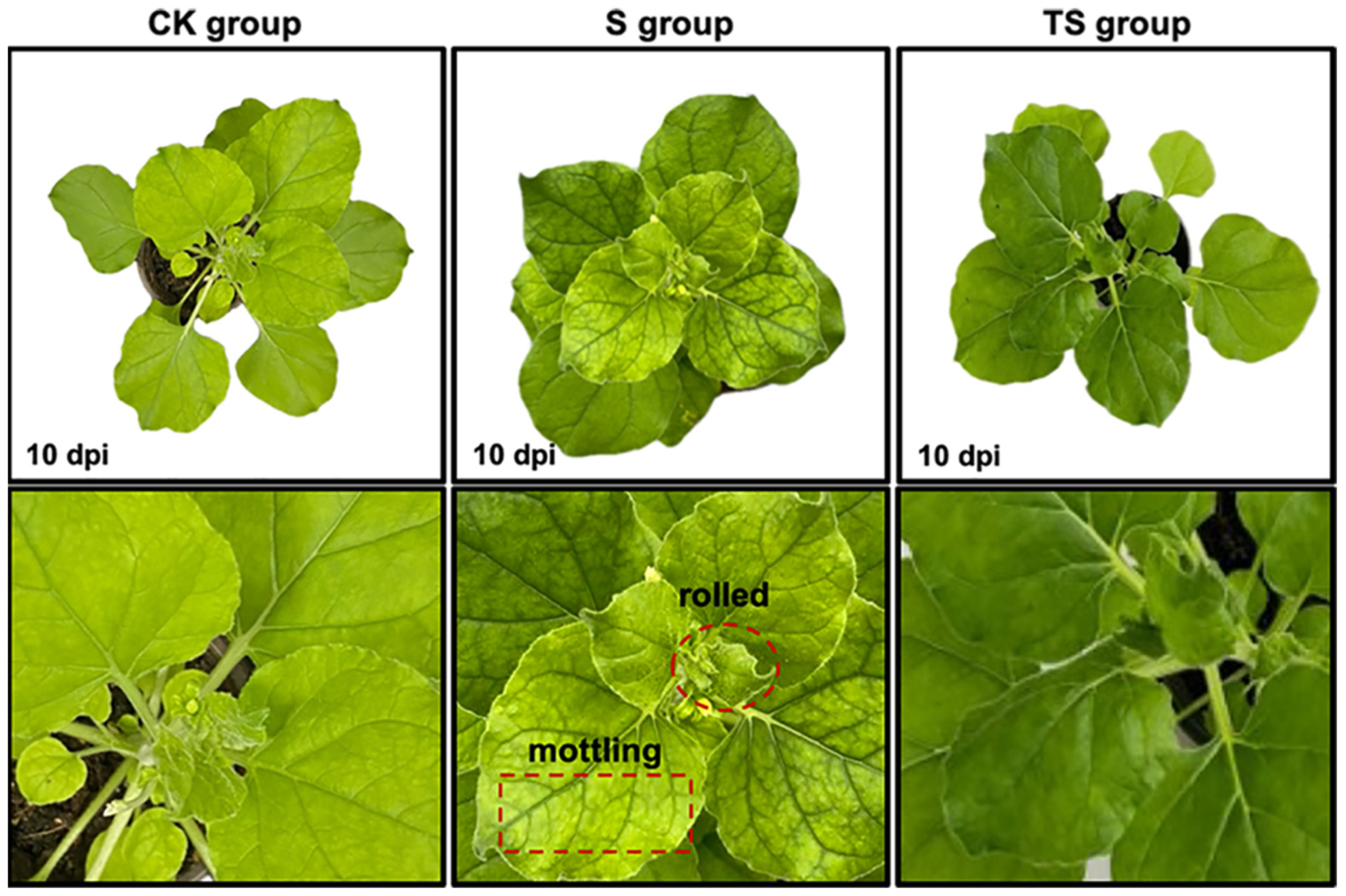 Ijms 24 08881 g003 Ijms 24 08881 g003