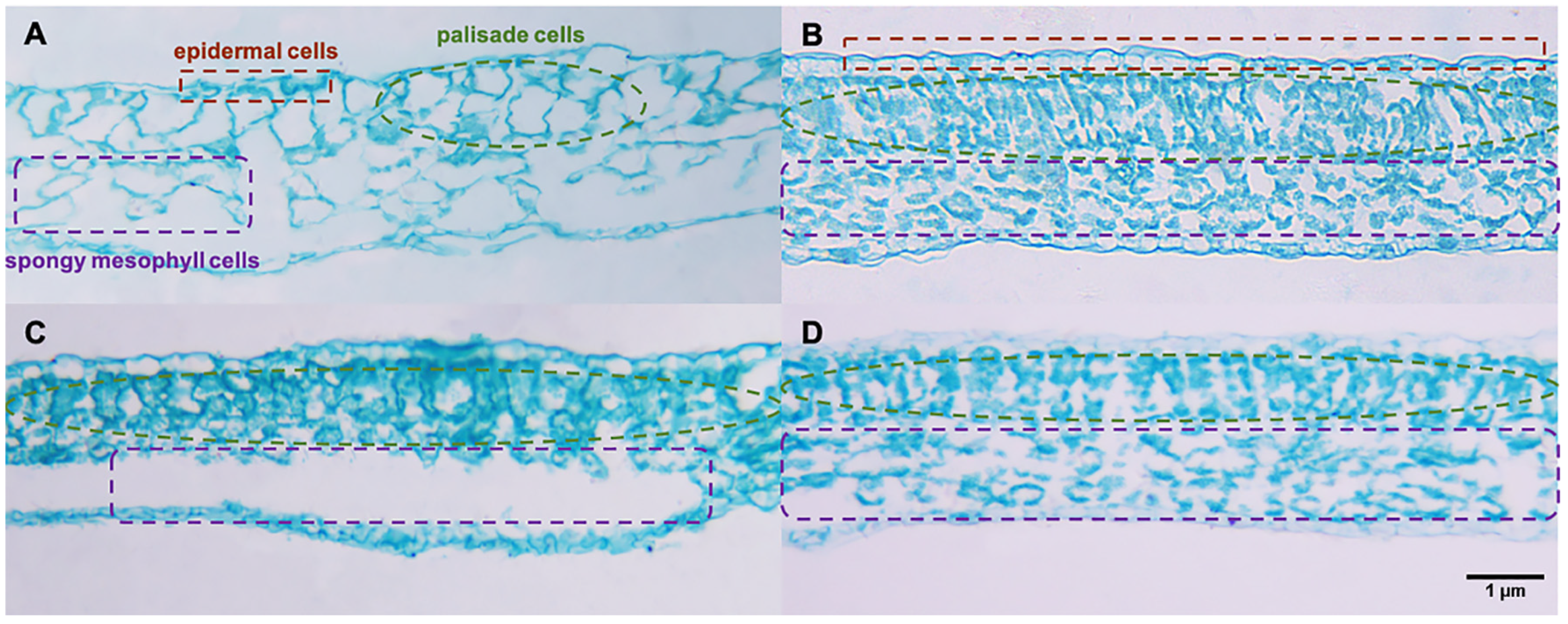 Ijms 24 08881 g005 Ijms 24 08881 g005
