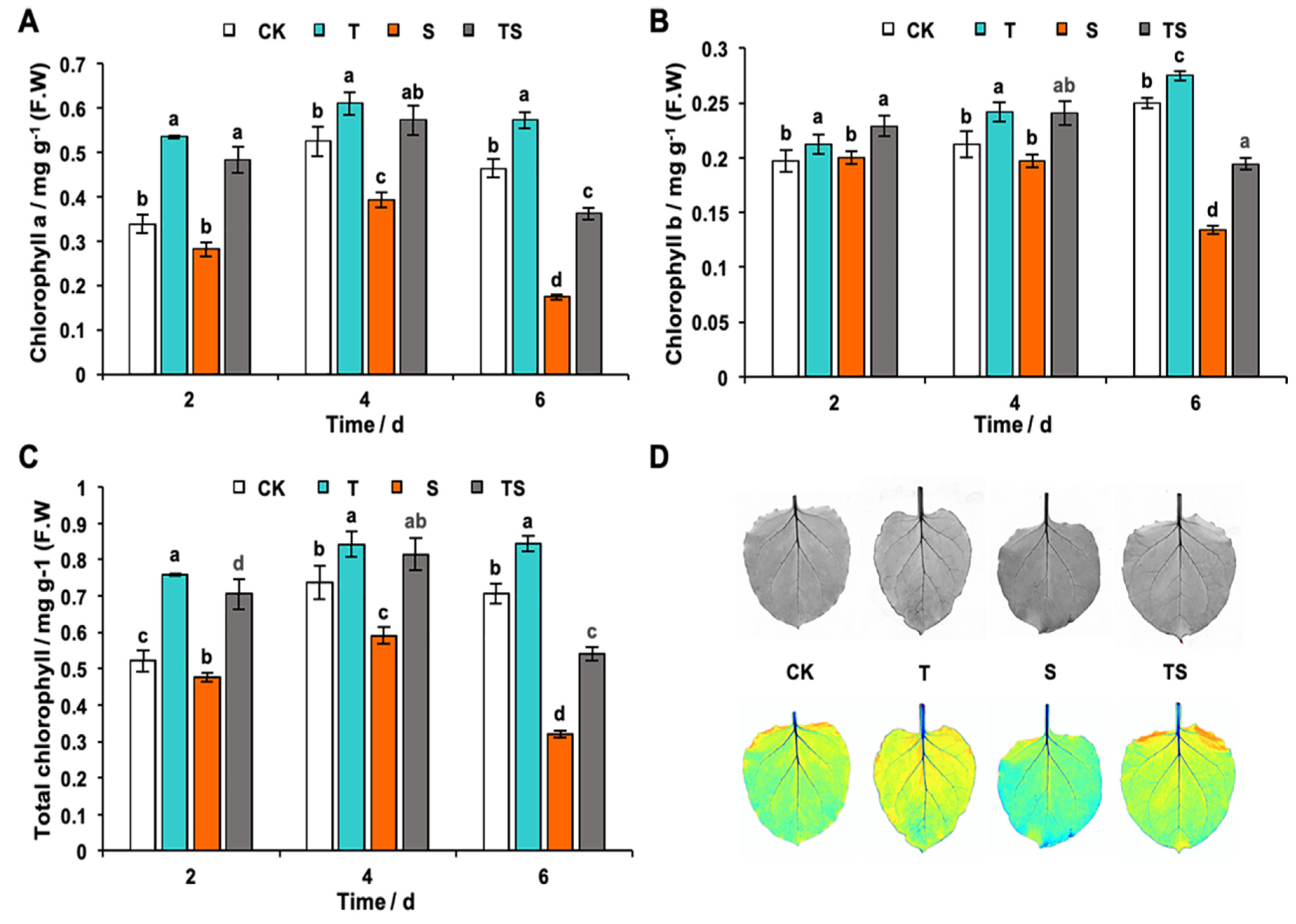 Ijms 24 08881 g008 Ijms 24 08881 g008