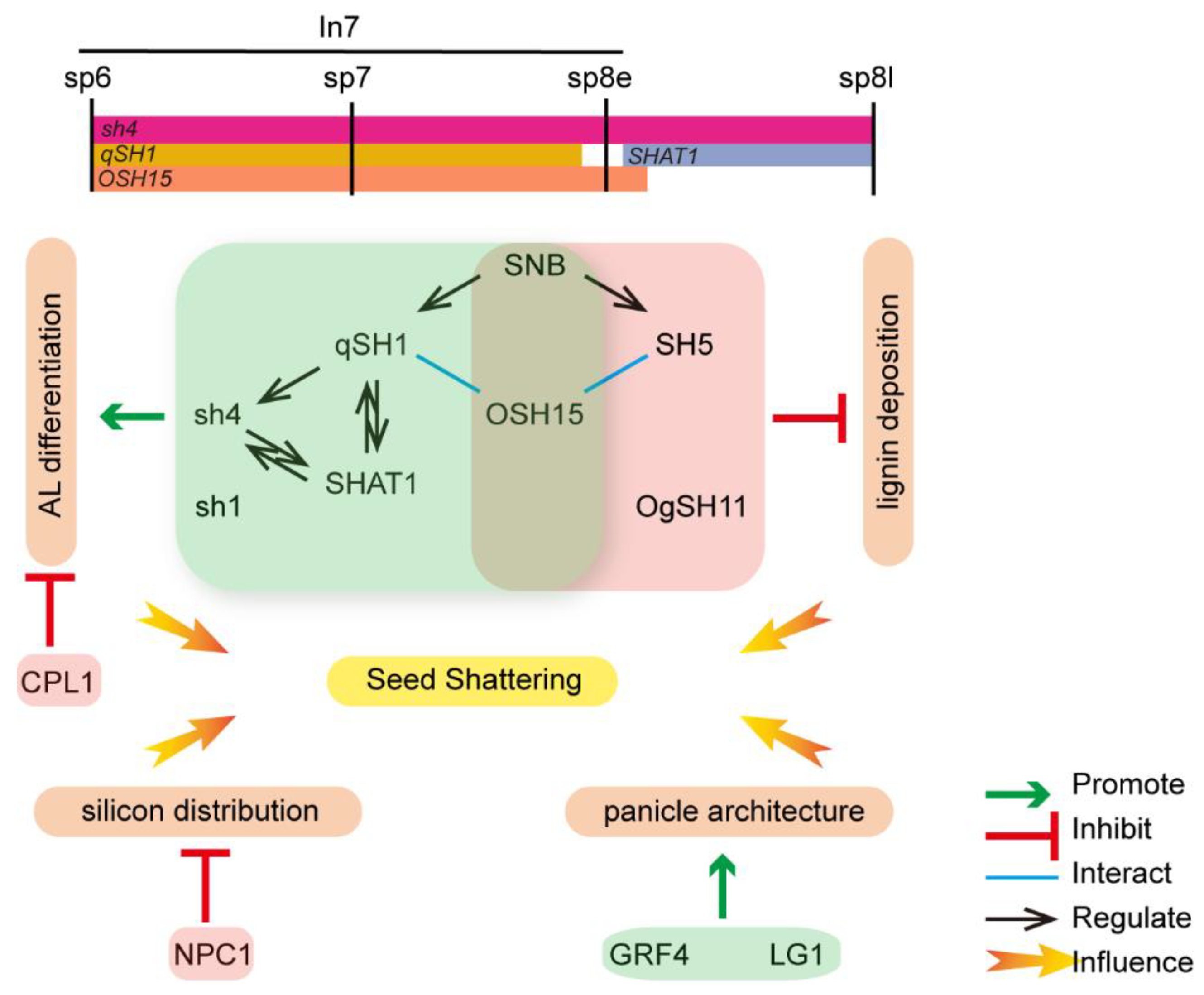 Ijms 24 08889 g002 Ijms 24 08889 g002