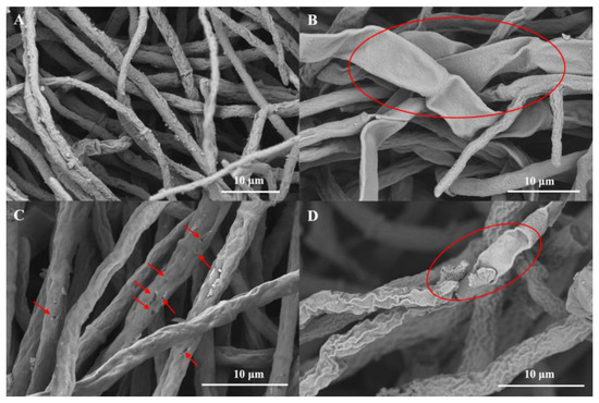 Design, Synthesis, In Vitro Antifungal Activity and Design, Synthesis, In Vitro Antifungal Activity and