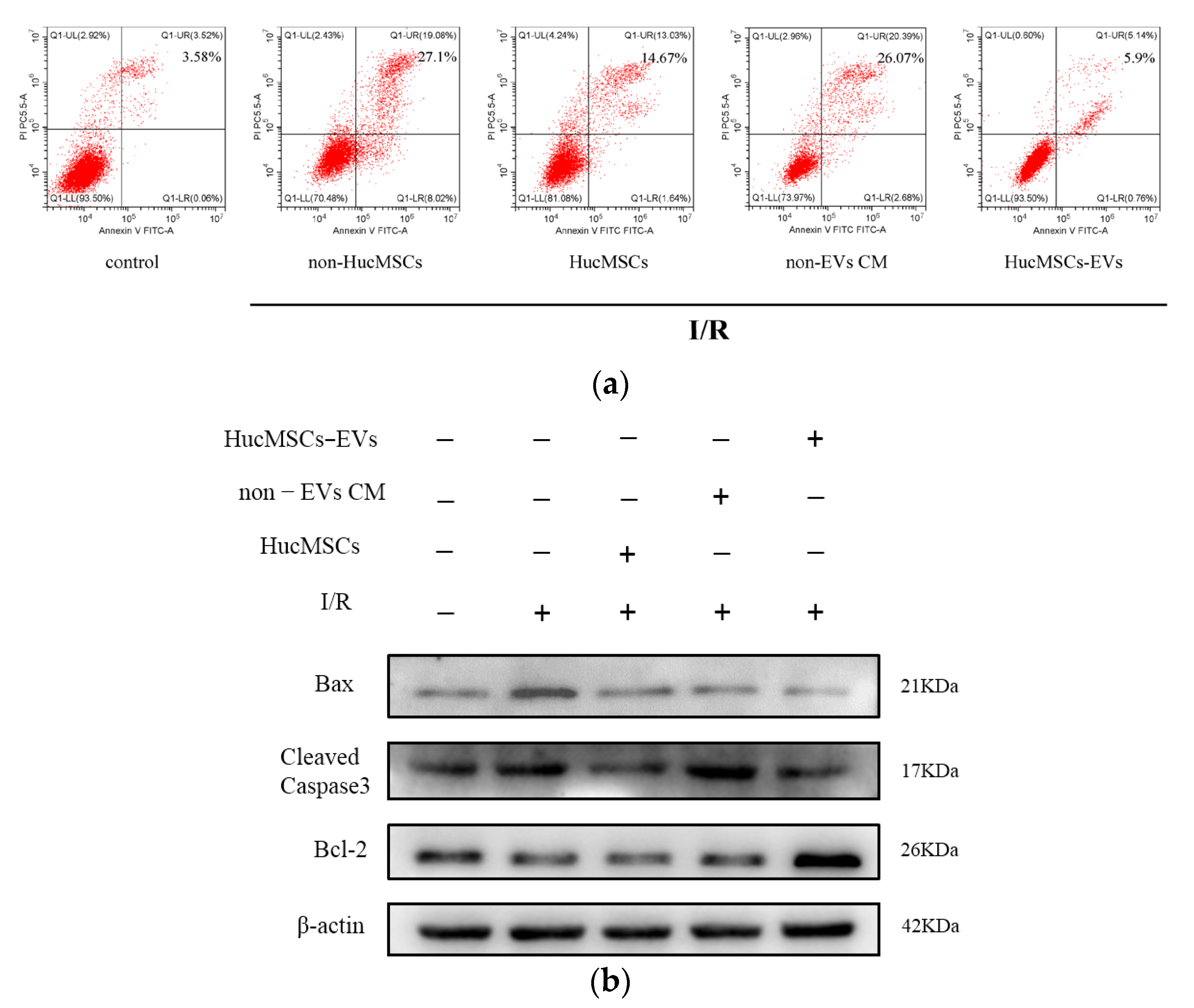 Ijms 24 08899 g002 Ijms 24 08899 g002