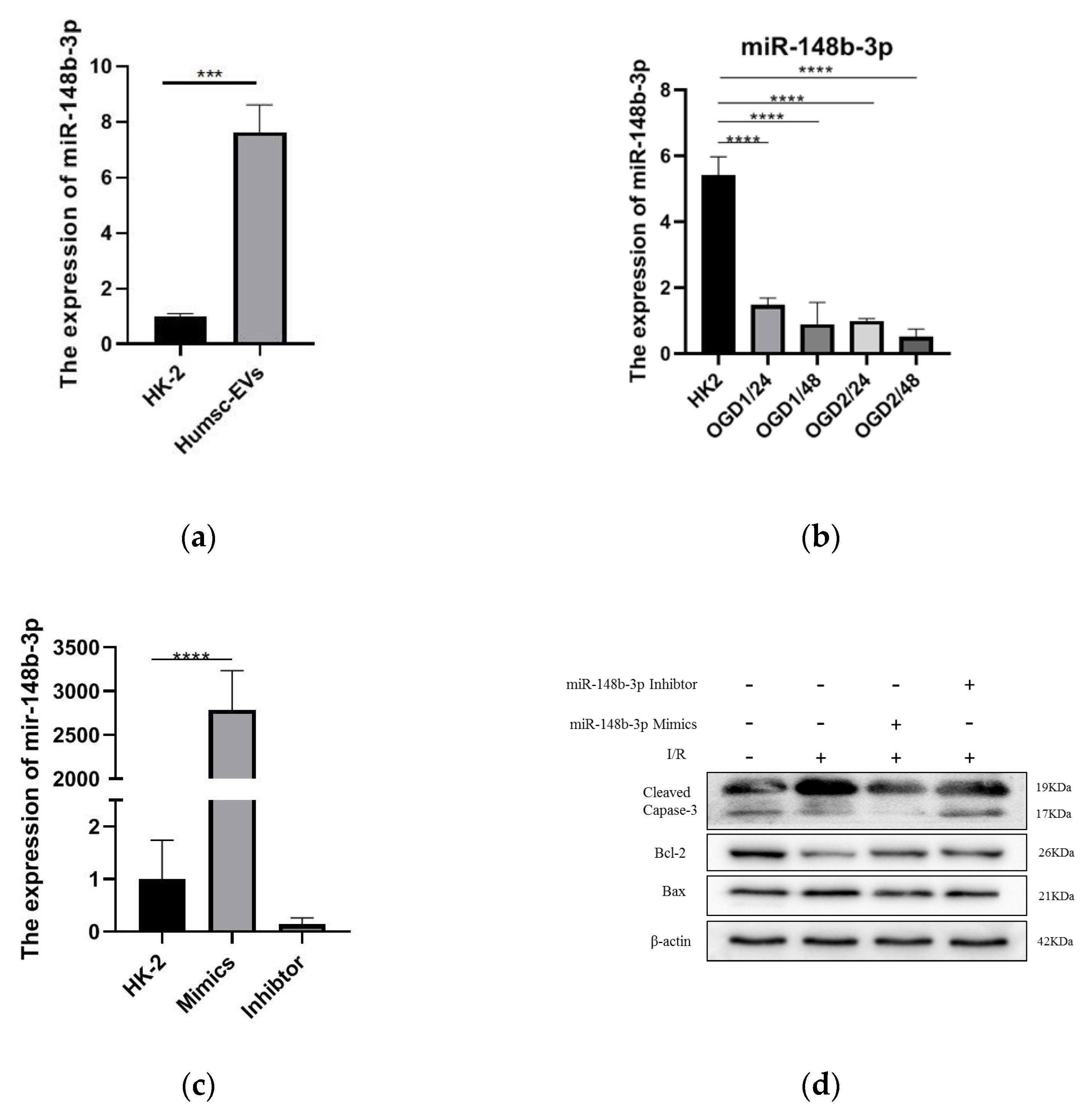 Ijms 24 08899 g003 Ijms 24 08899 g003