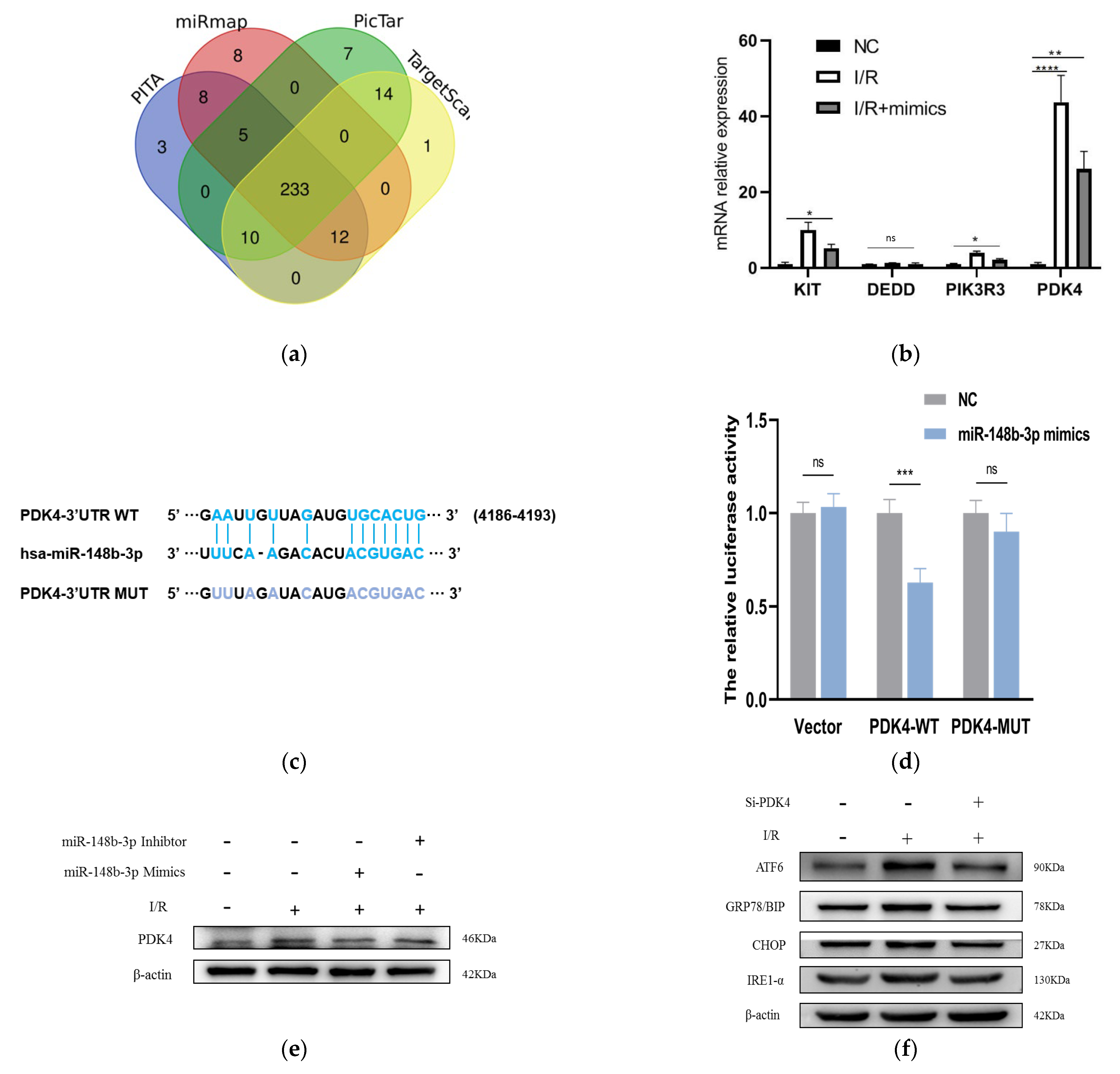 Ijms 24 08899 g004a Ijms 24 08899 g004a