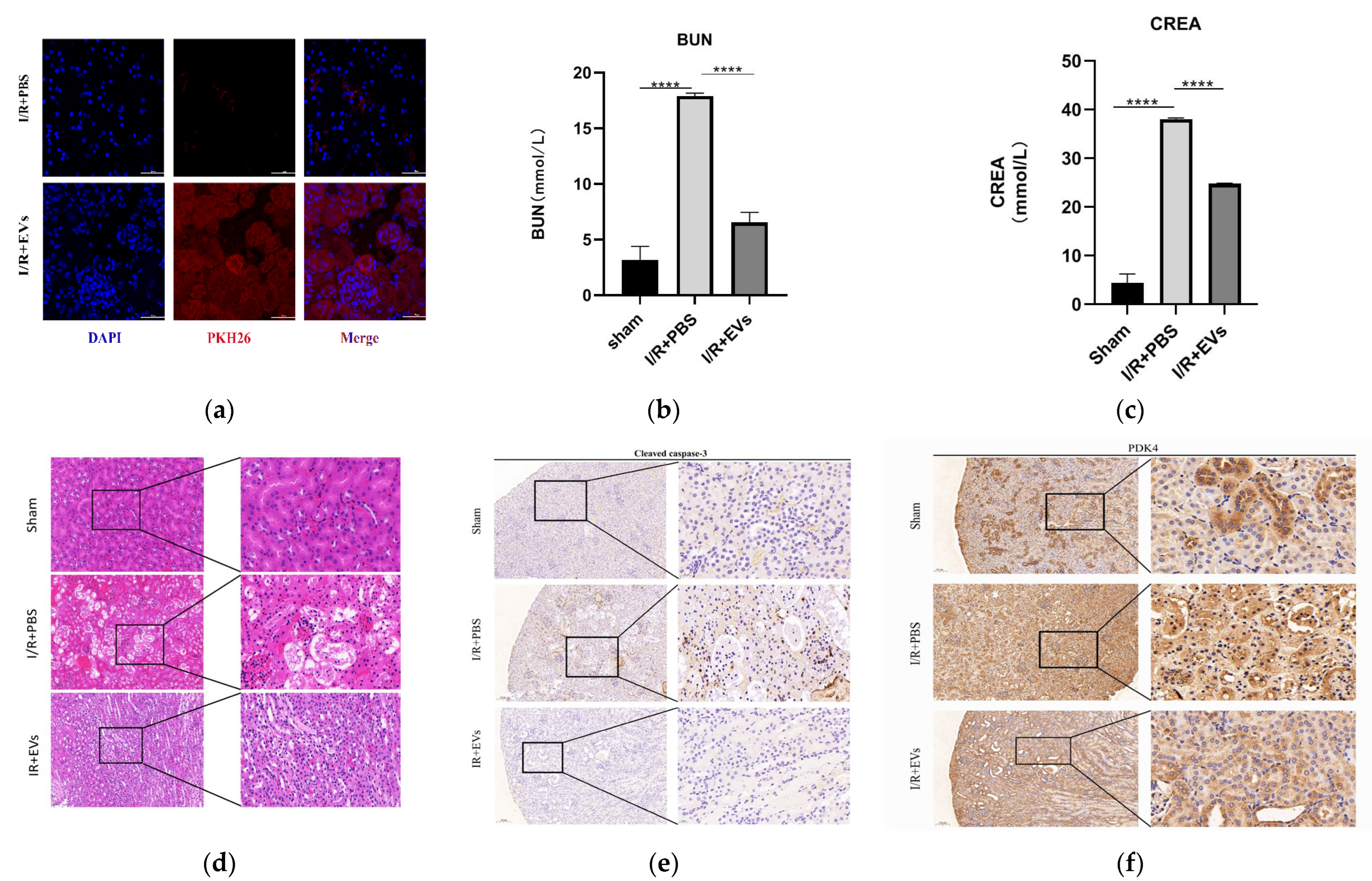Ijms 24 08899 g005 Ijms 24 08899 g005