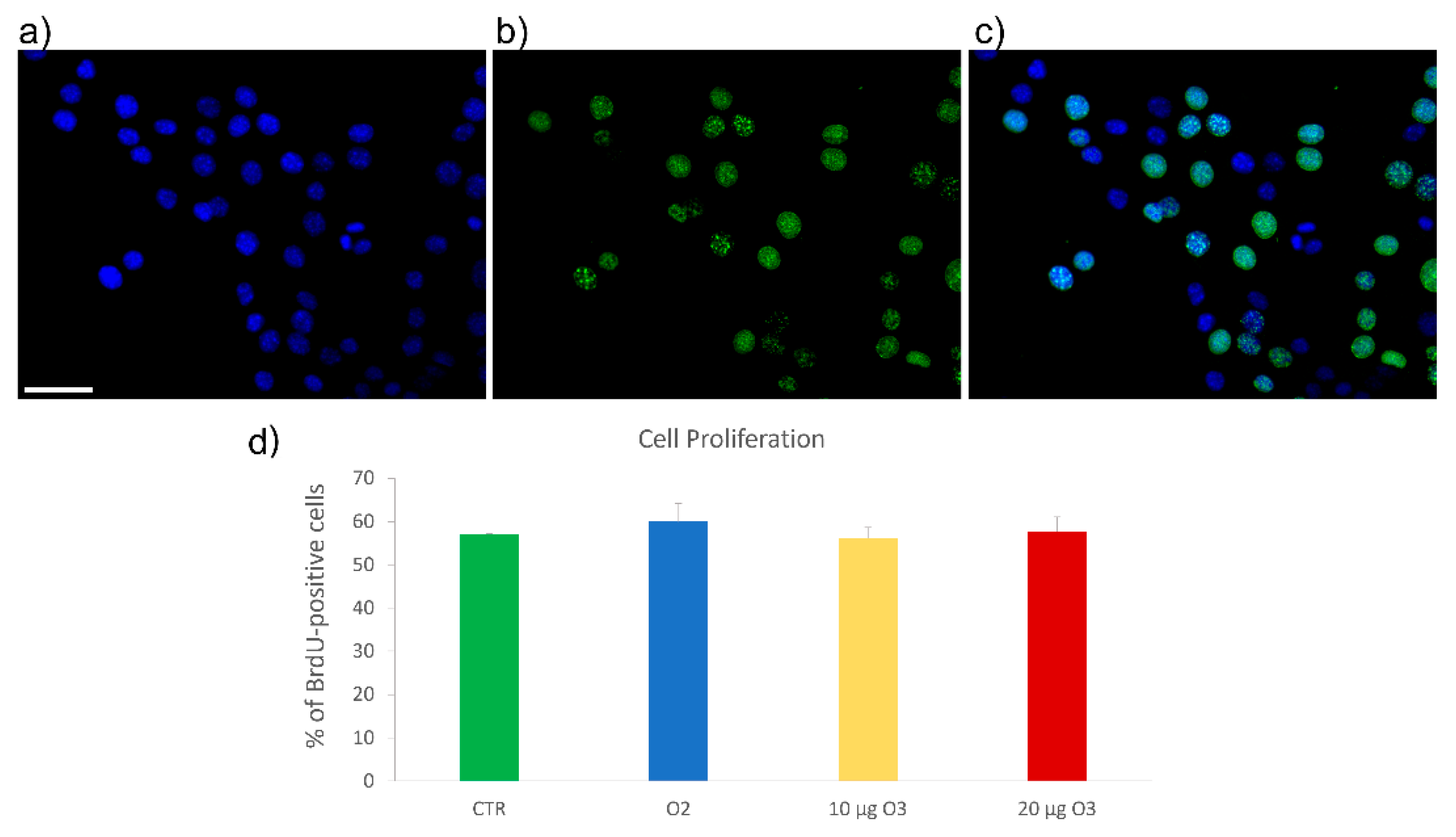 Ijms 24 08900 g003 Ijms 24 08900 g003