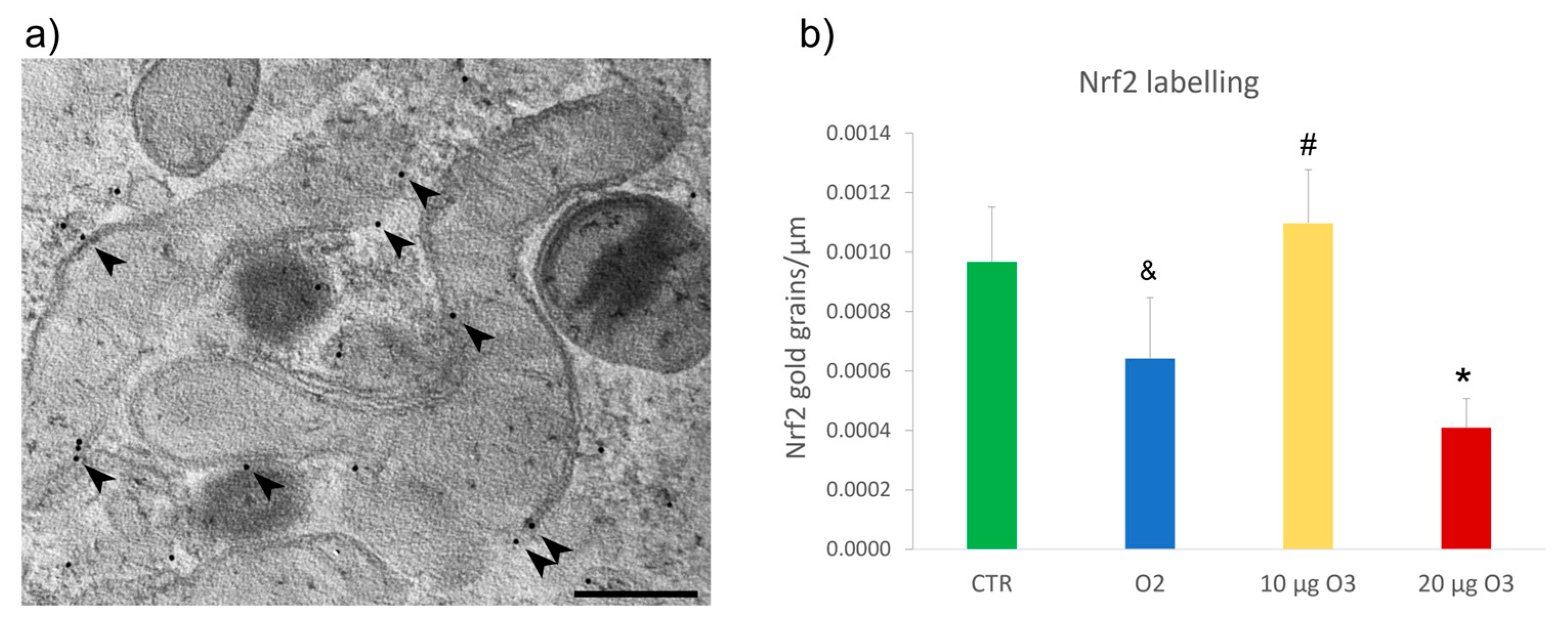 Ijms 24 08900 g006 Ijms 24 08900 g006