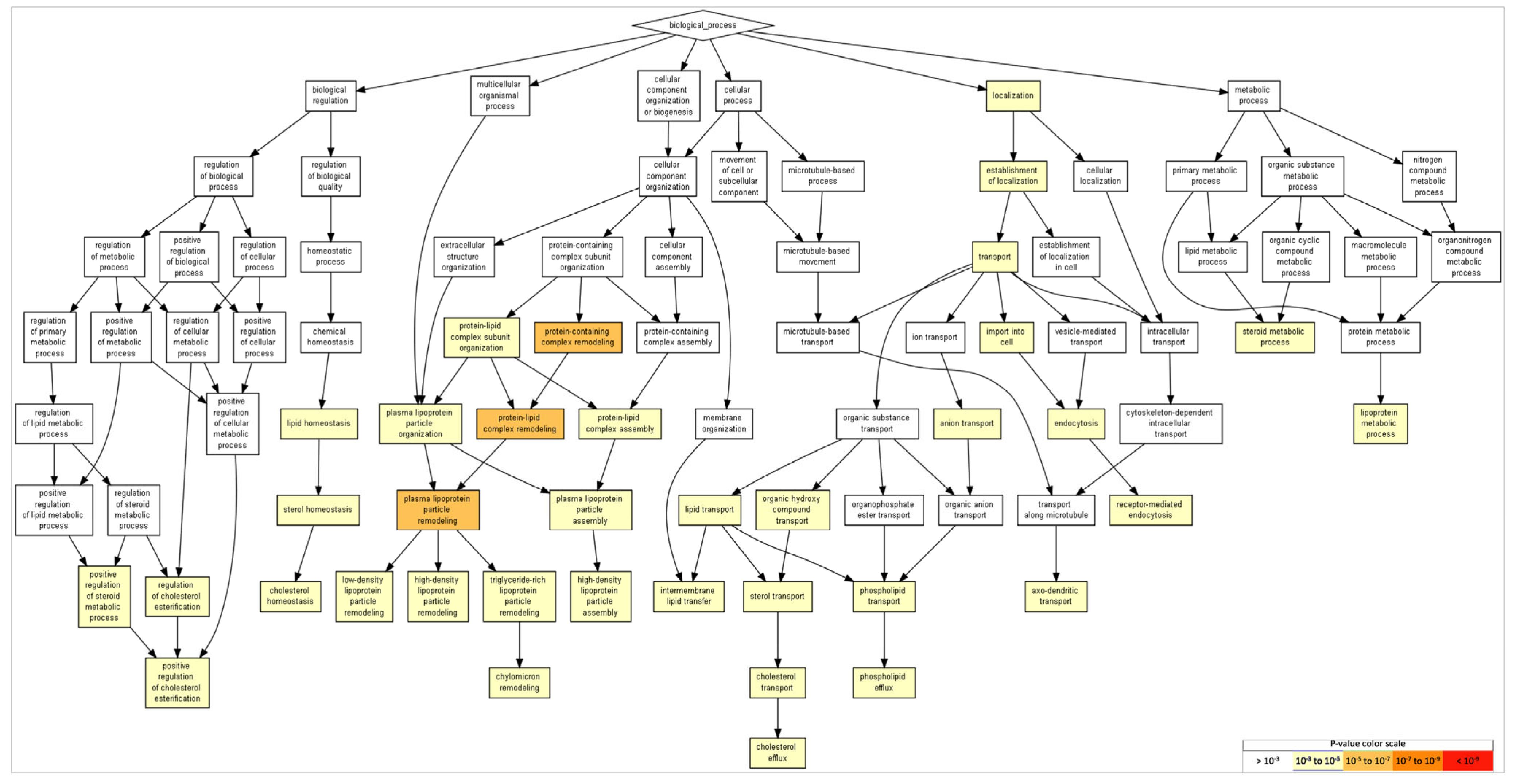 Ijms 24 08904 g003 Ijms 24 08904 g003