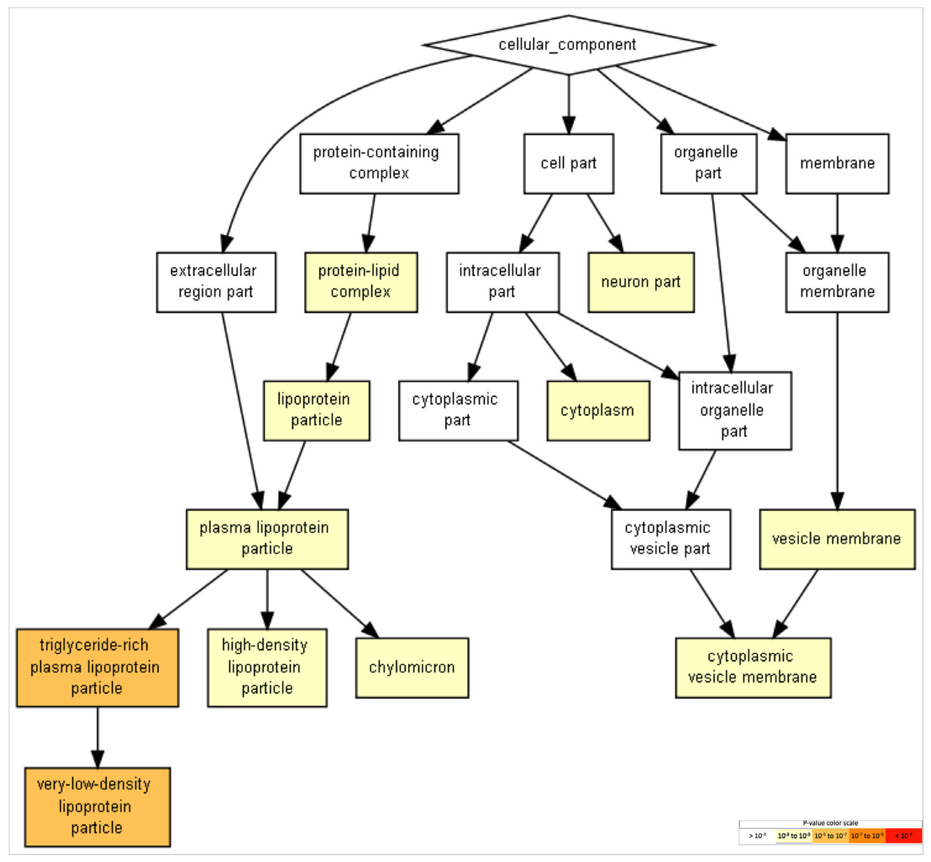 Ijms 24 08904 g005 Ijms 24 08904 g005