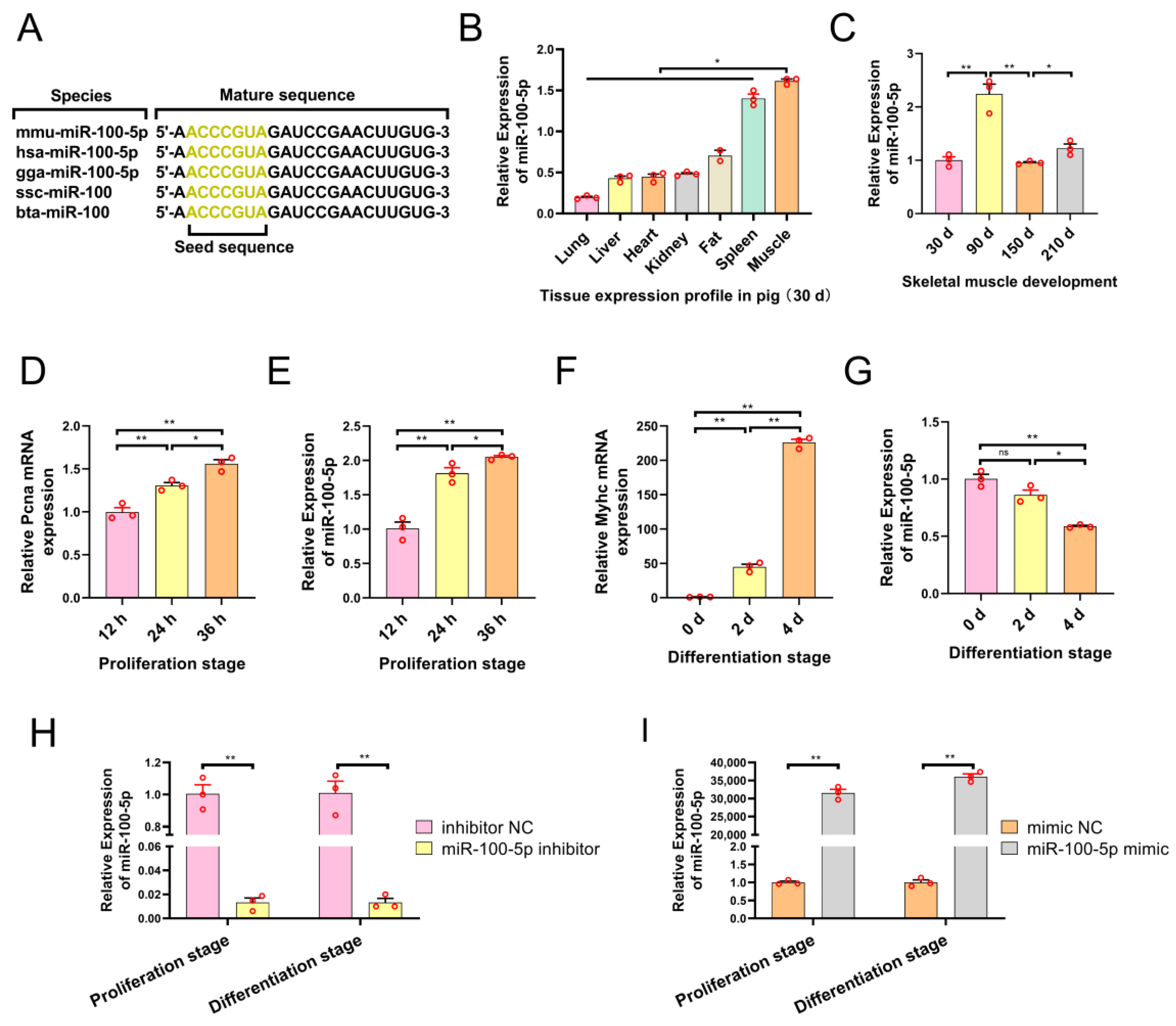 Ijms 24 08906 g001 Ijms 24 08906 g001