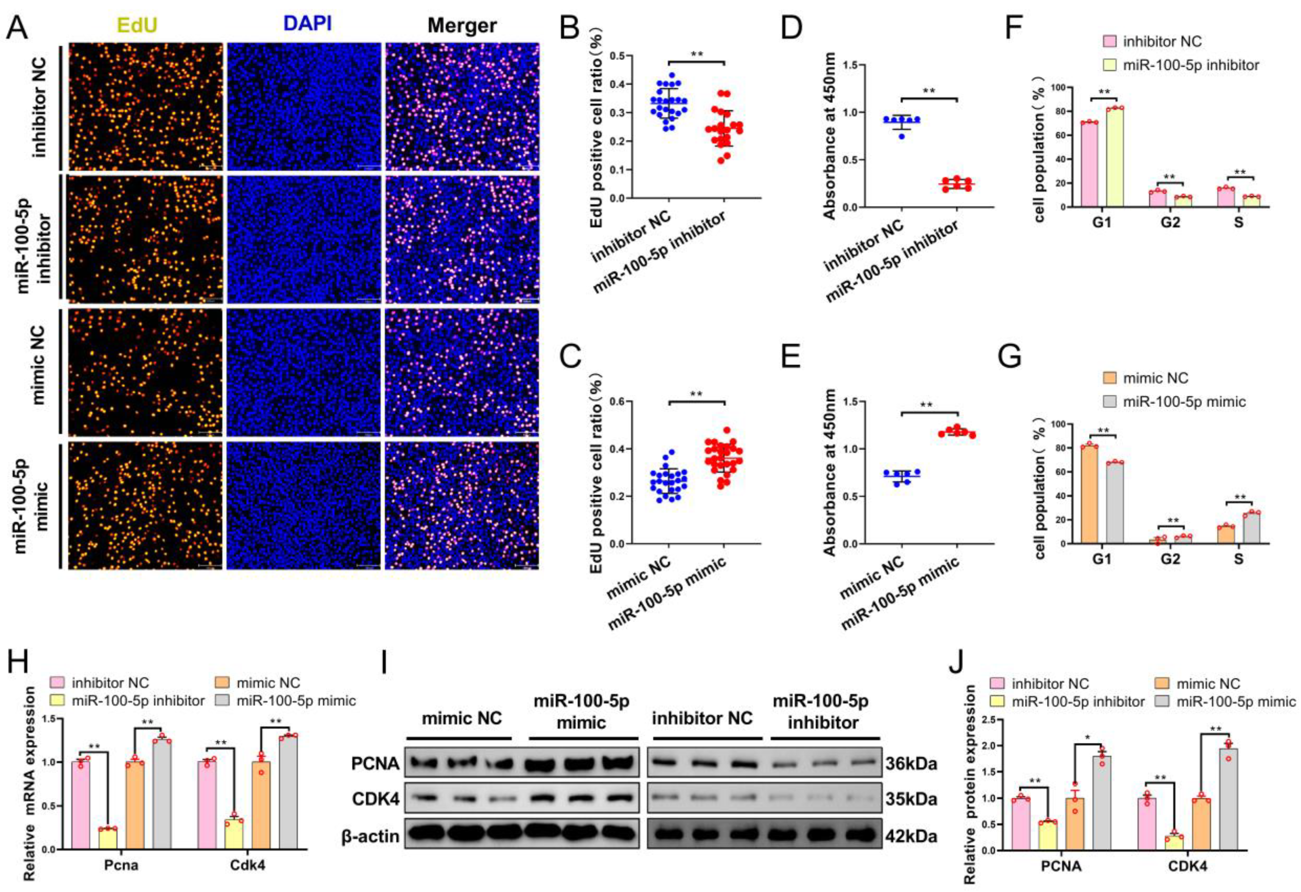 Ijms 24 08906 g002 Ijms 24 08906 g002