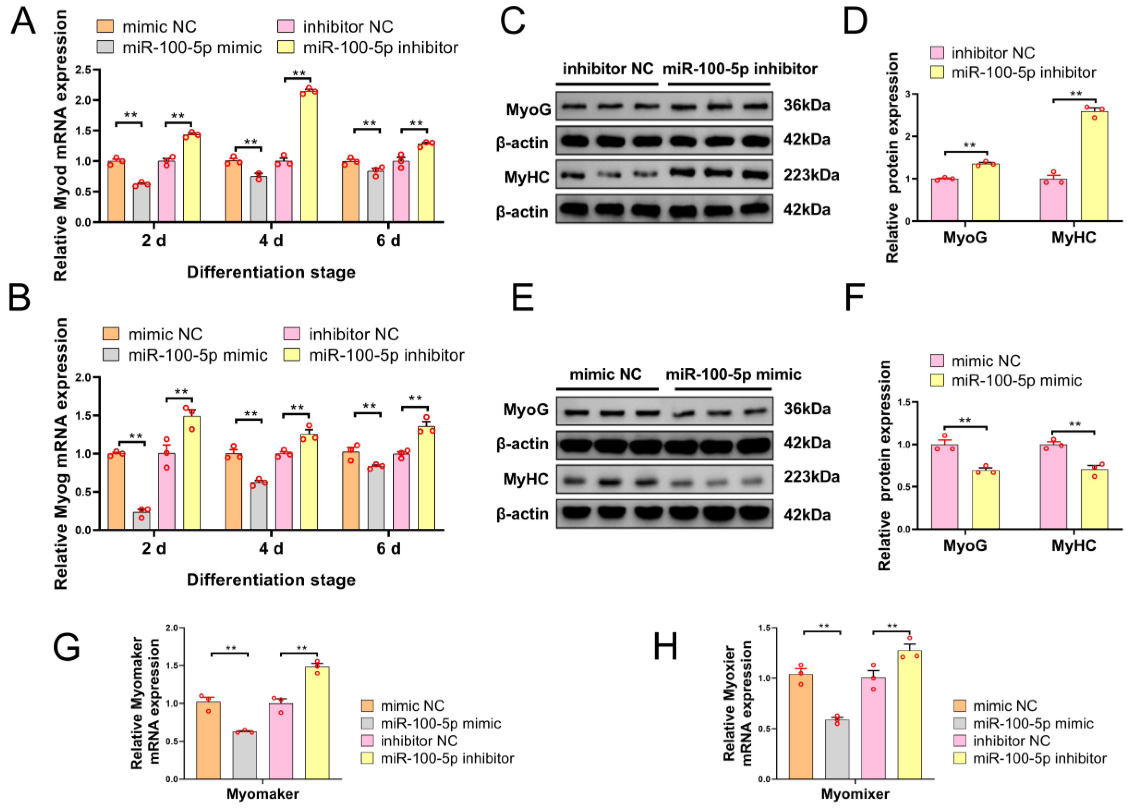 Ijms 24 08906 g003 Ijms 24 08906 g003