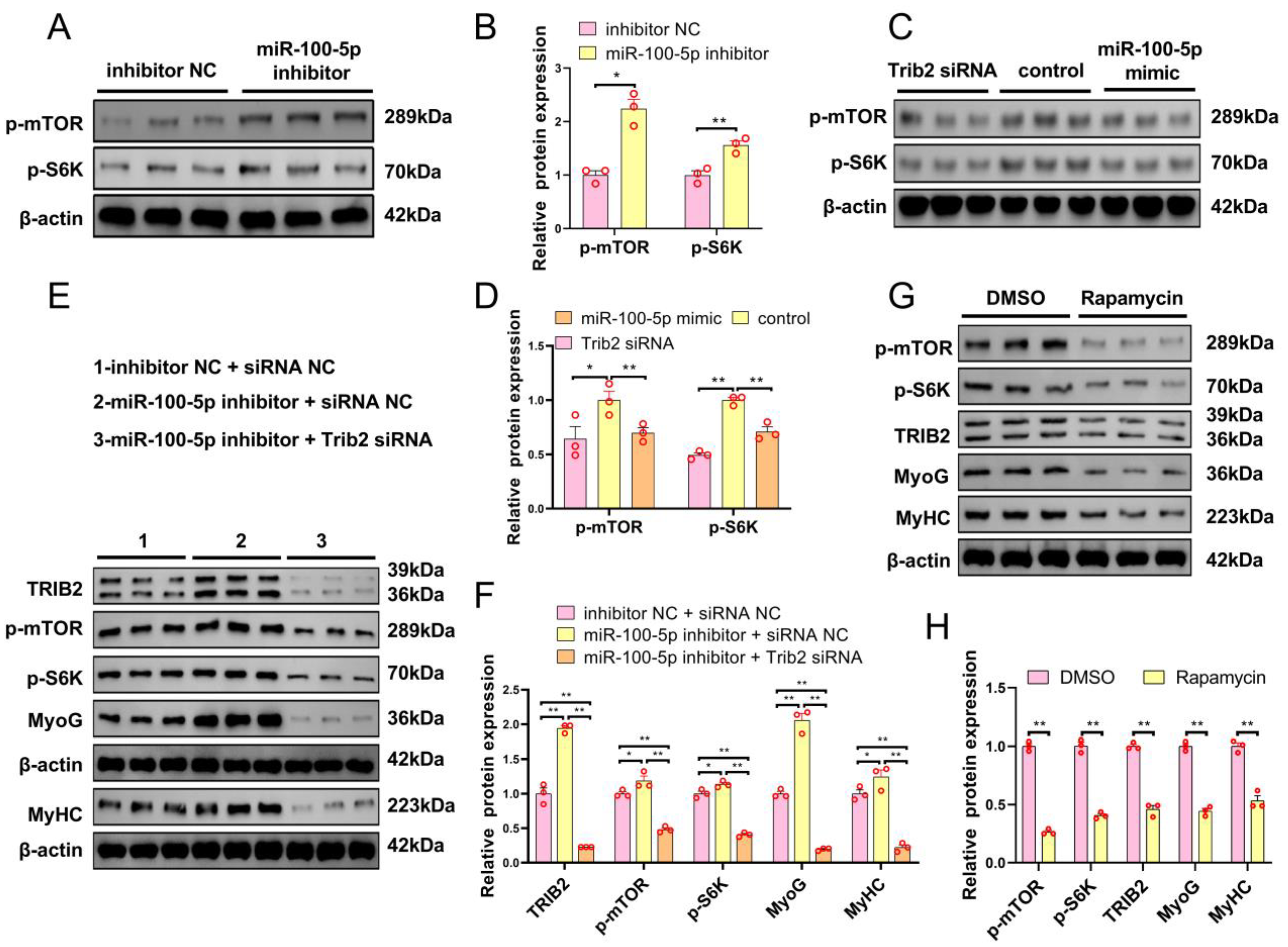 Ijms 24 08906 g006 Ijms 24 08906 g006