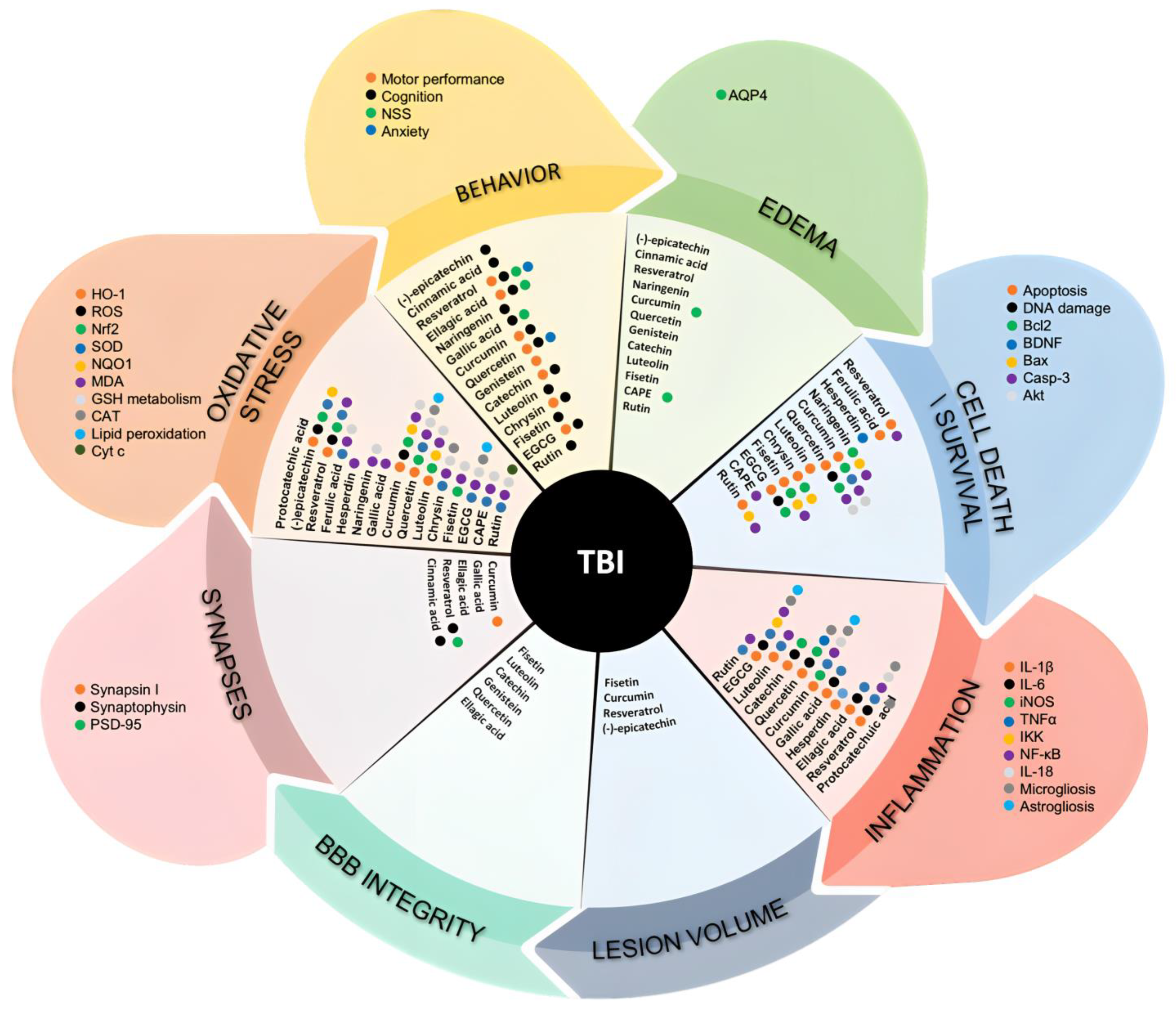 Ijms 24 08908 g004 Ijms 24 08908 g004