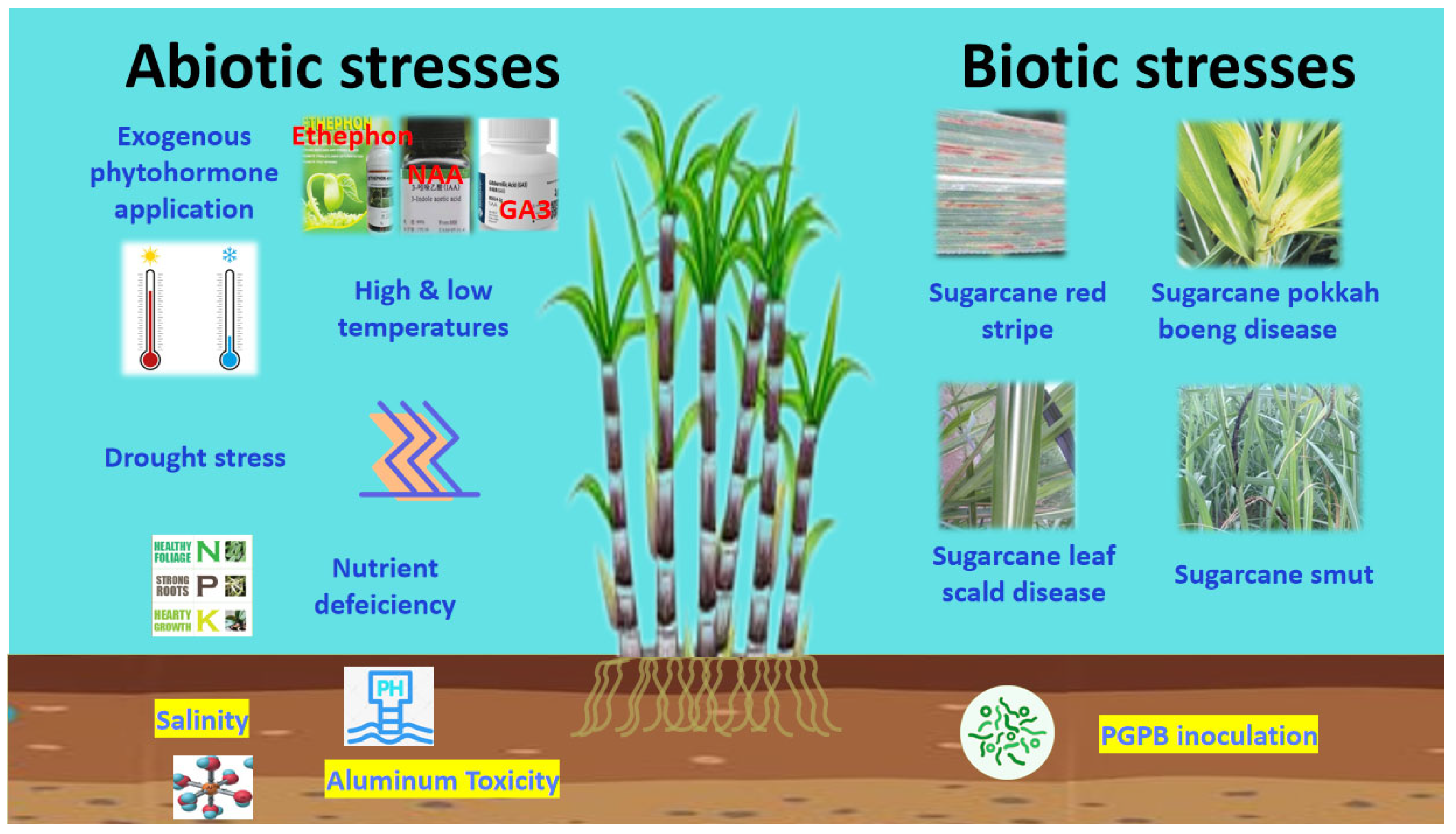 Ijms 24 08913 g002 Ijms 24 08913 g002