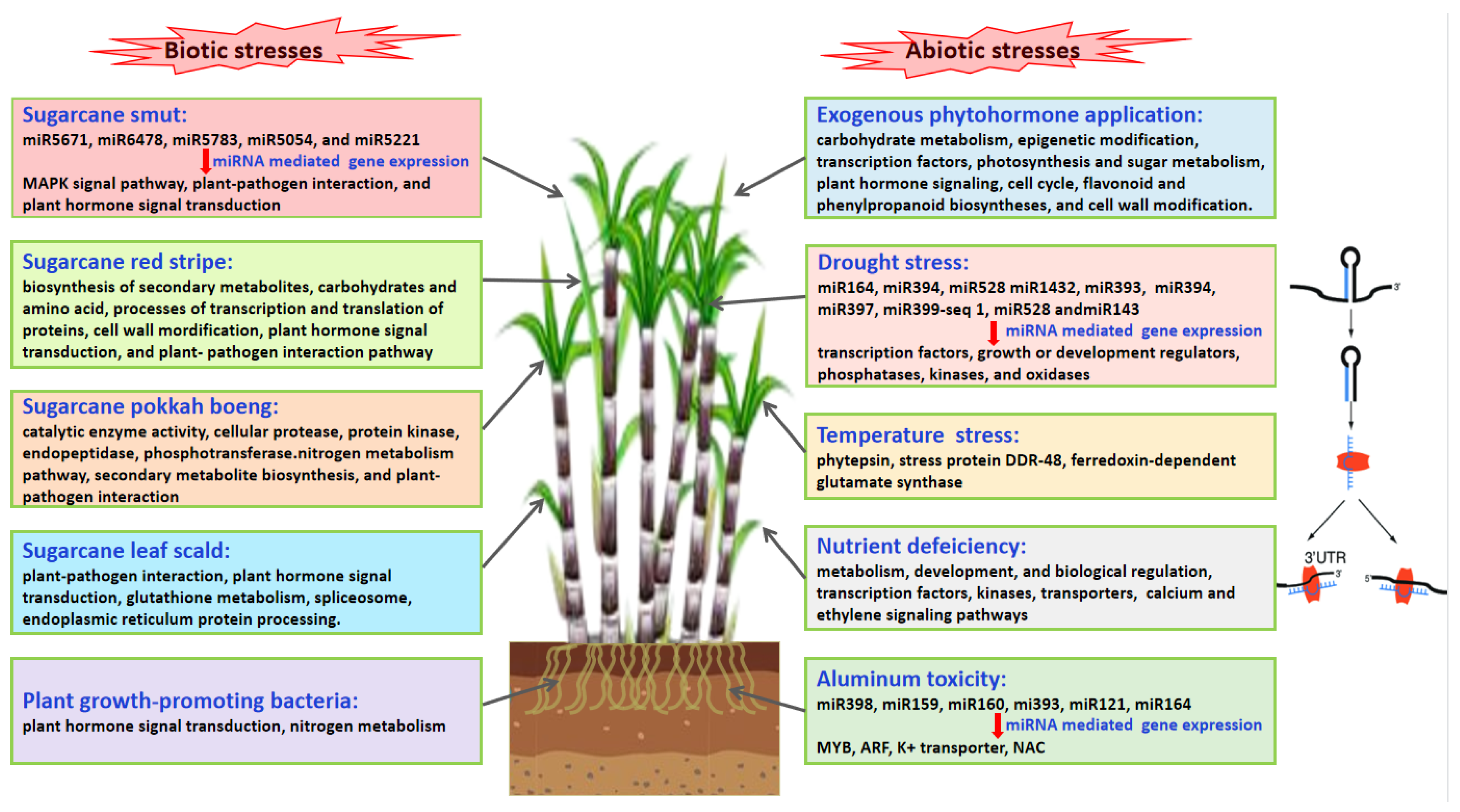 Ijms 24 08913 g003 Ijms 24 08913 g003