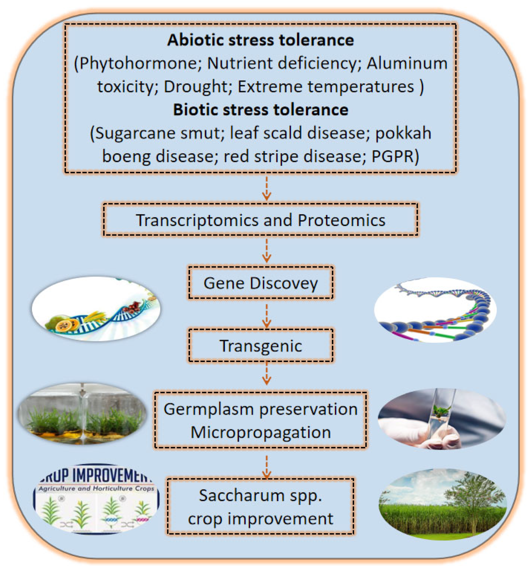 Ijms 24 08913 g005 Ijms 24 08913 g005