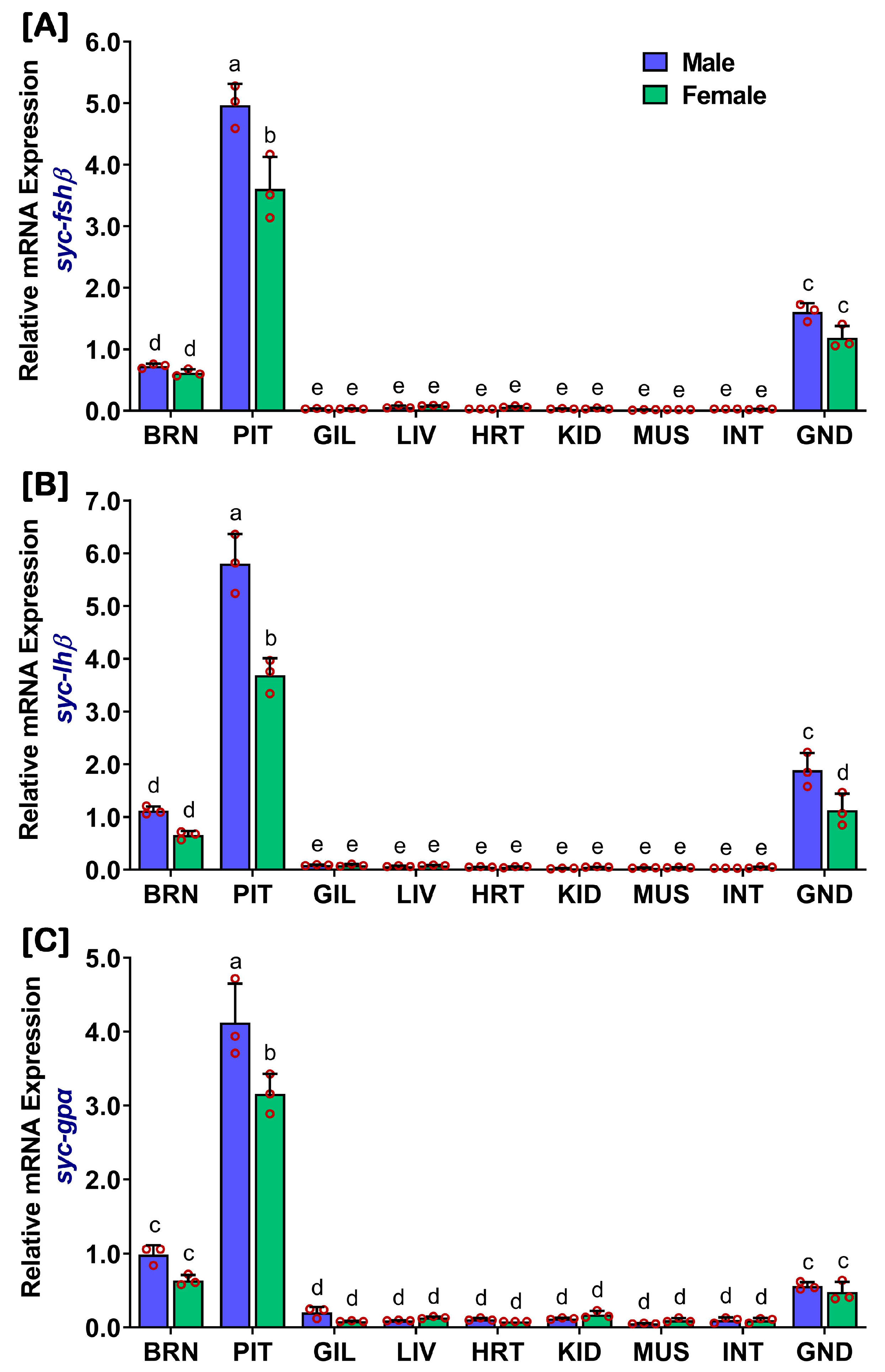 Ijms 24 08919 g001 Ijms 24 08919 g001