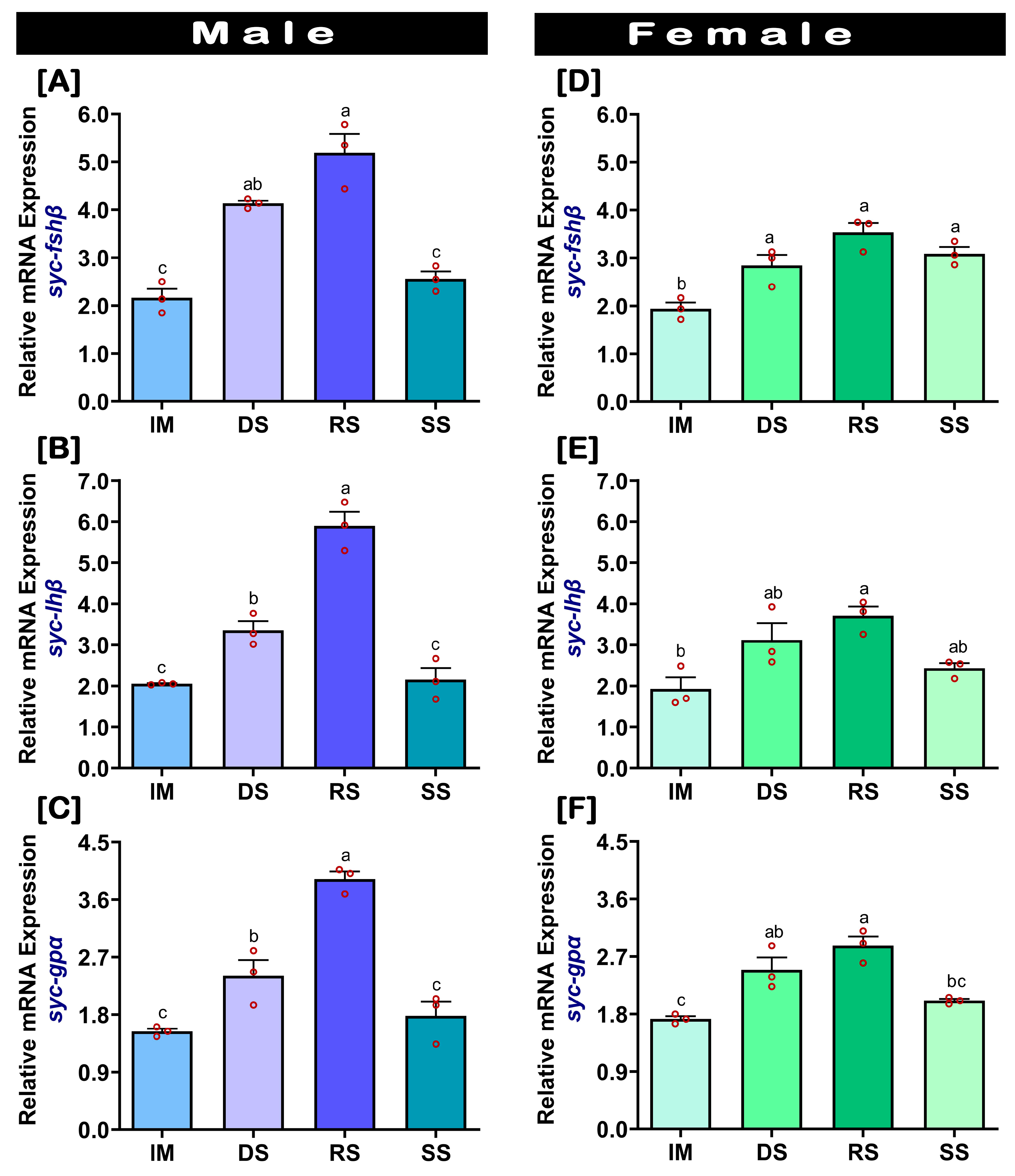 Ijms 24 08919 g003 Ijms 24 08919 g003