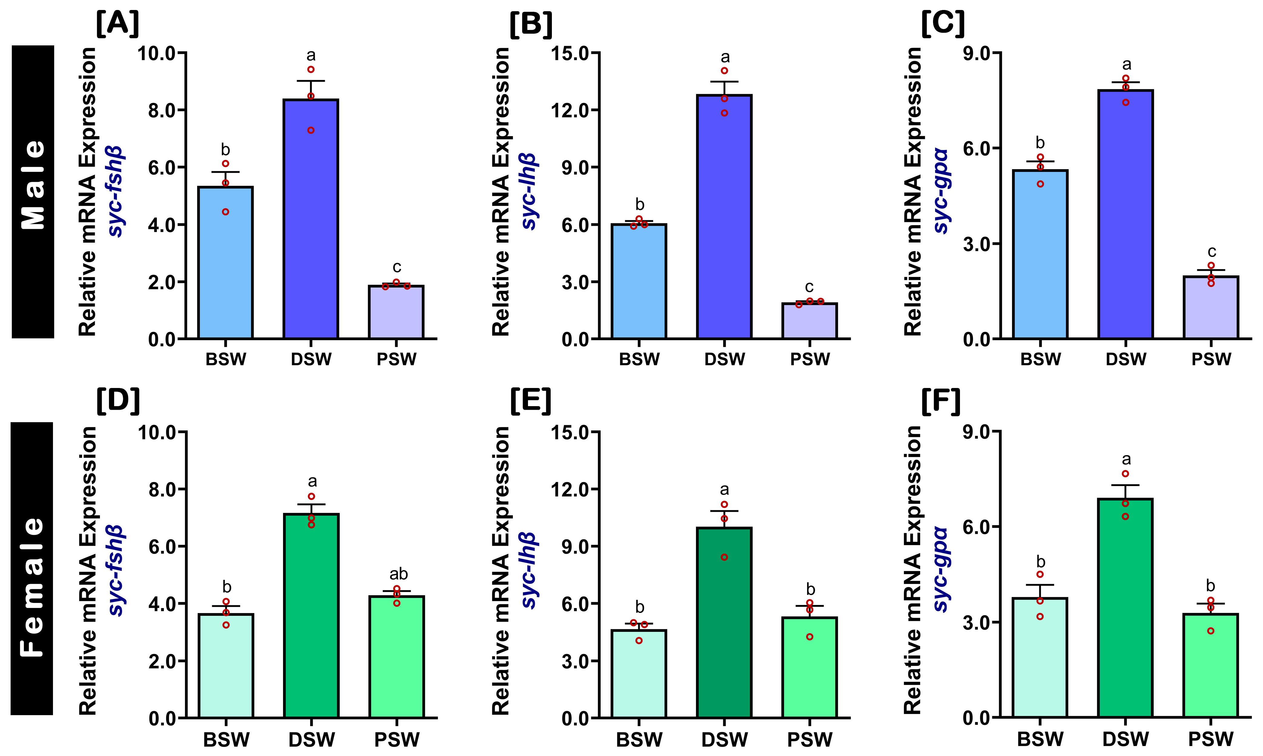 Ijms 24 08919 g005 Ijms 24 08919 g005