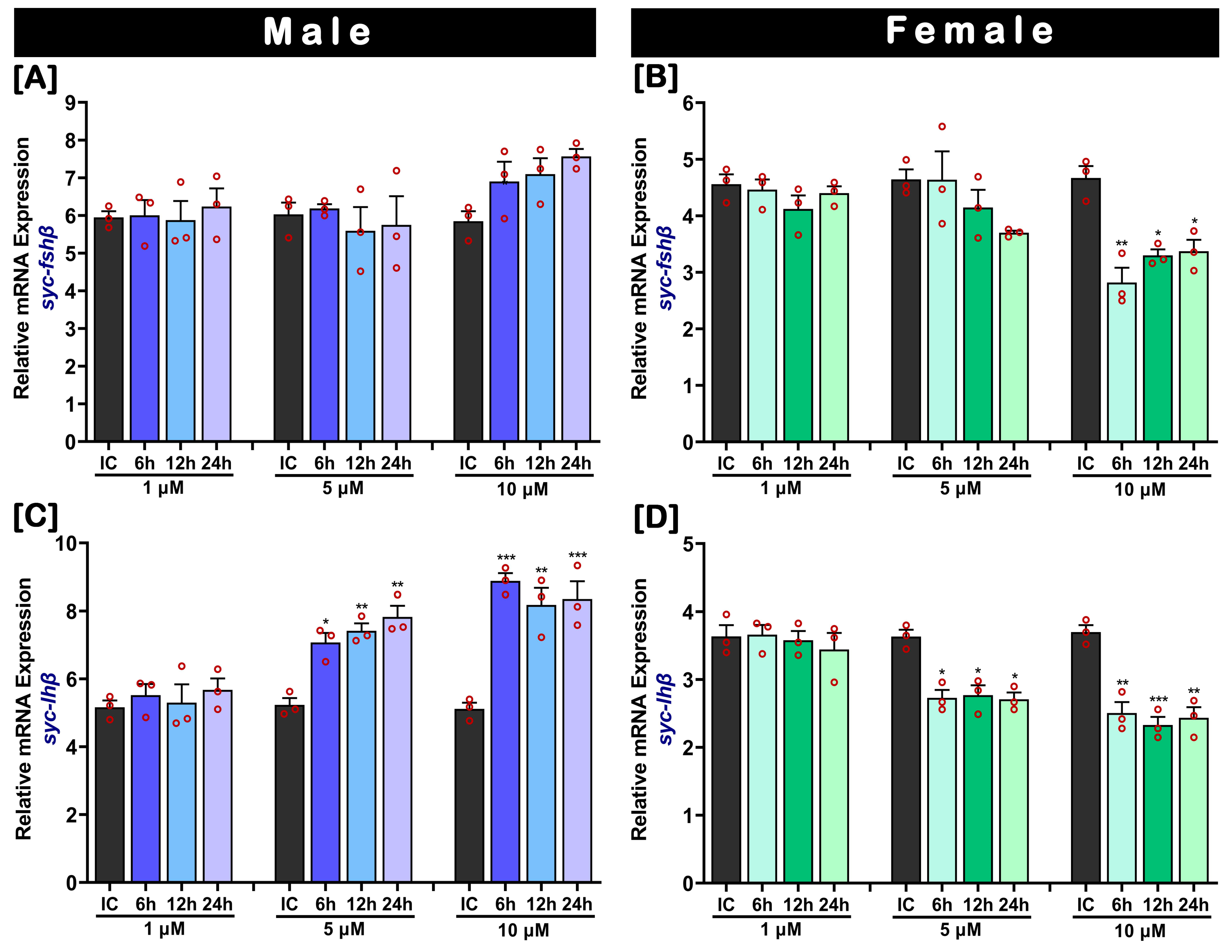Ijms 24 08919 g008 Ijms 24 08919 g008