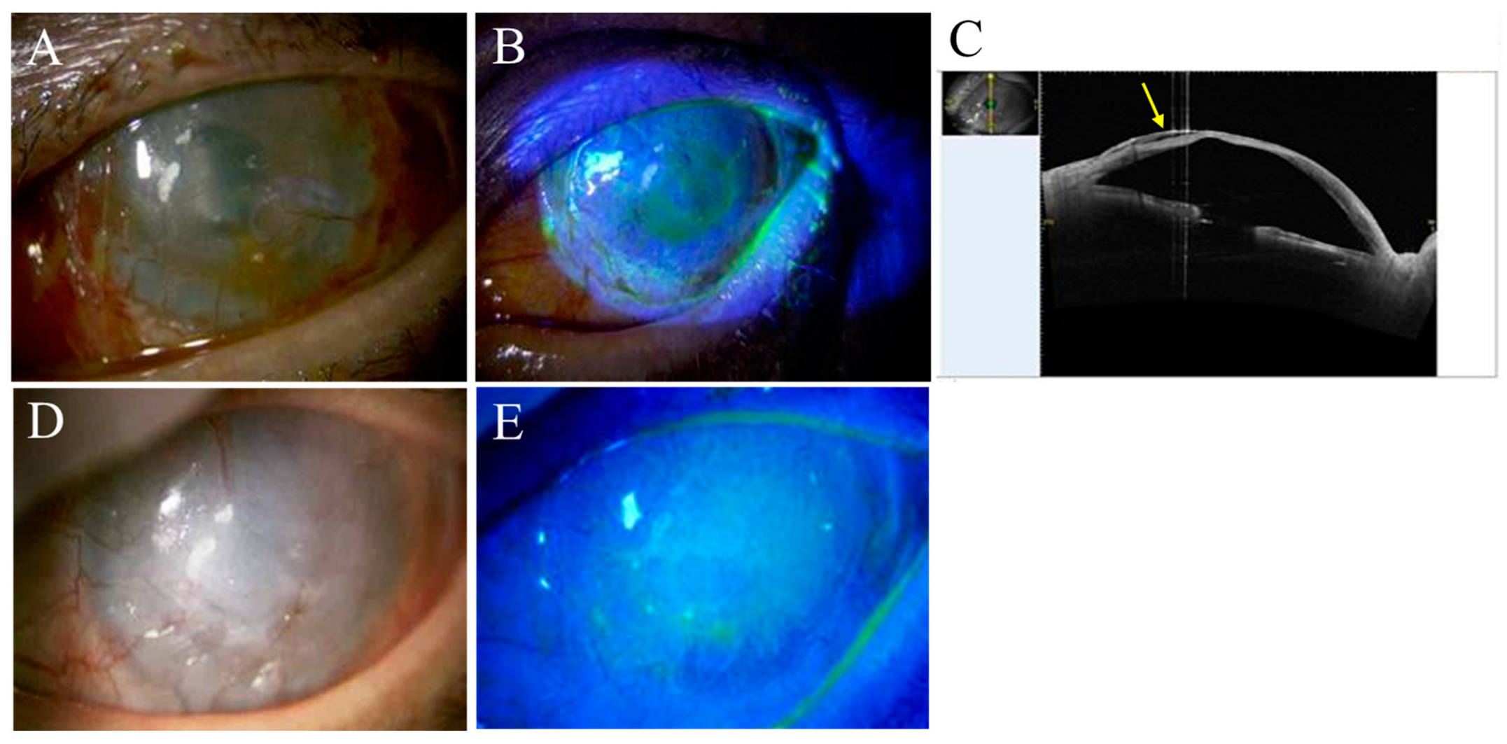 Ijms 24 08926 g002 Ijms 24 08926 g002