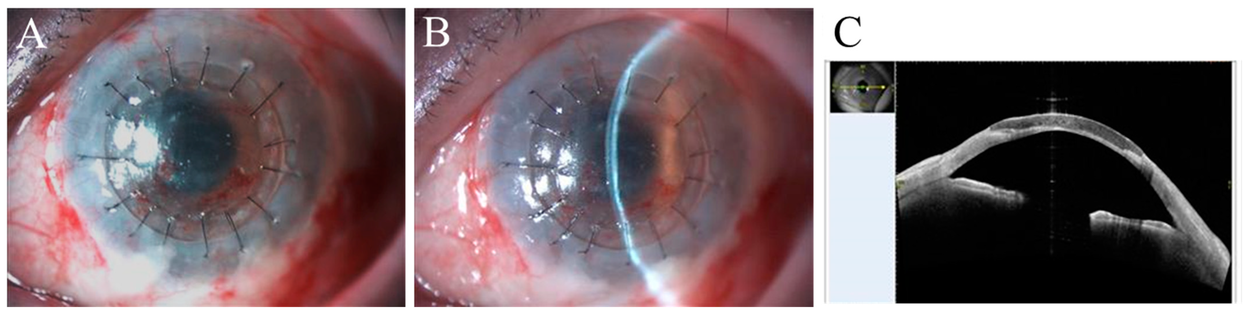 Ijms 24 08926 g003 Ijms 24 08926 g003