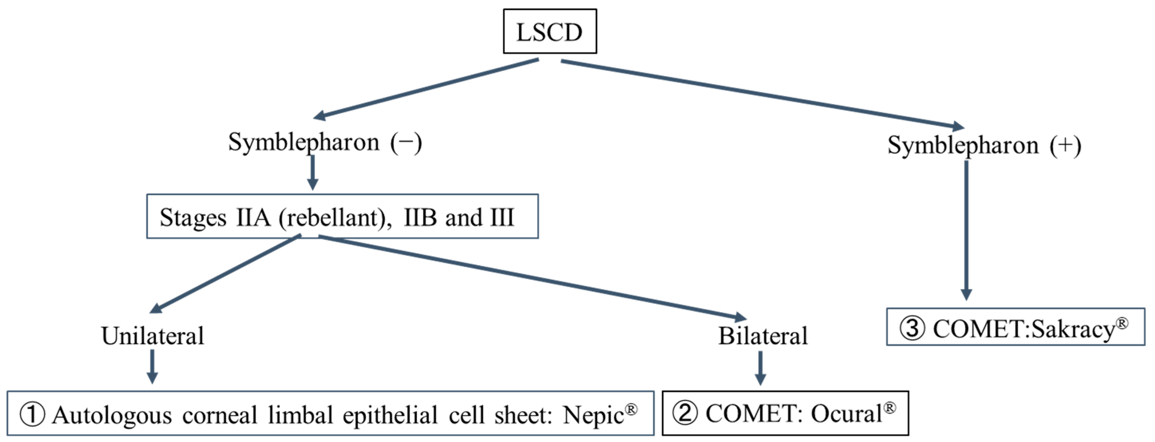 Ijms 24 08926 g009 Ijms 24 08926 g009