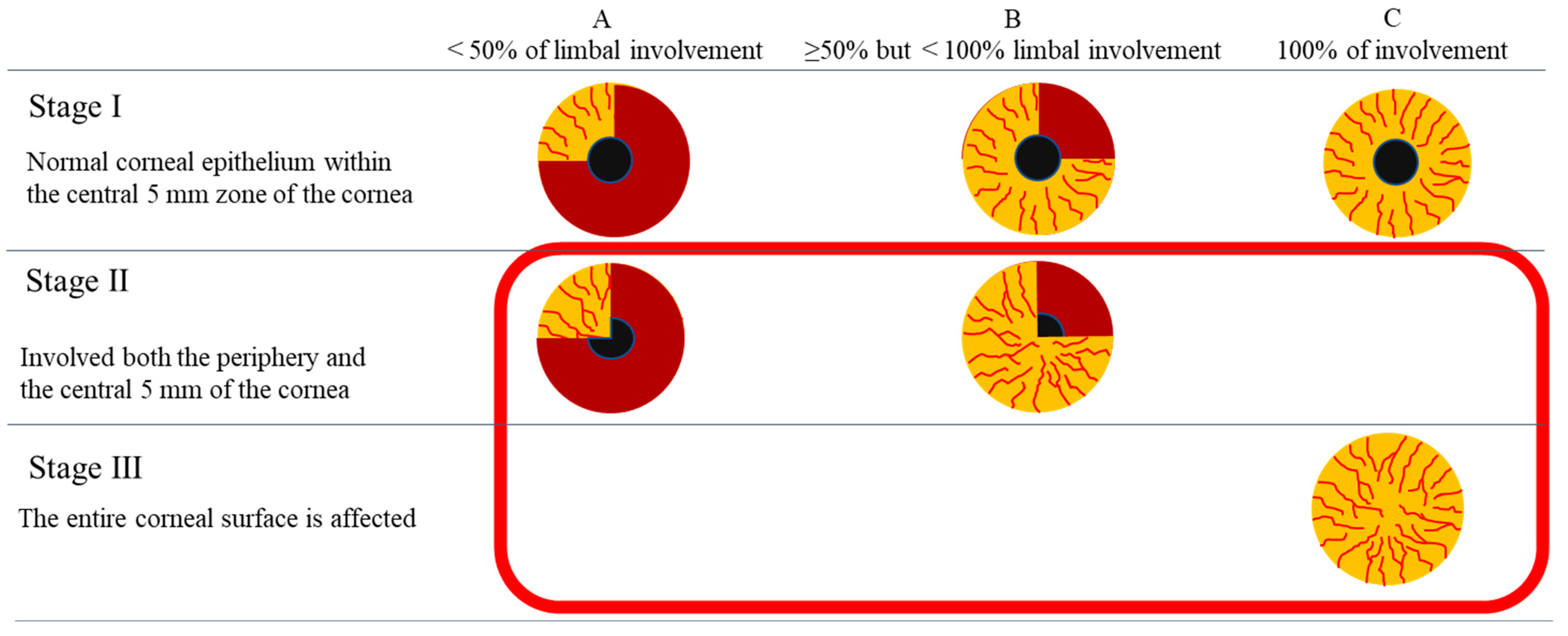 Ijms 24 08926 g010 Ijms 24 08926 g010