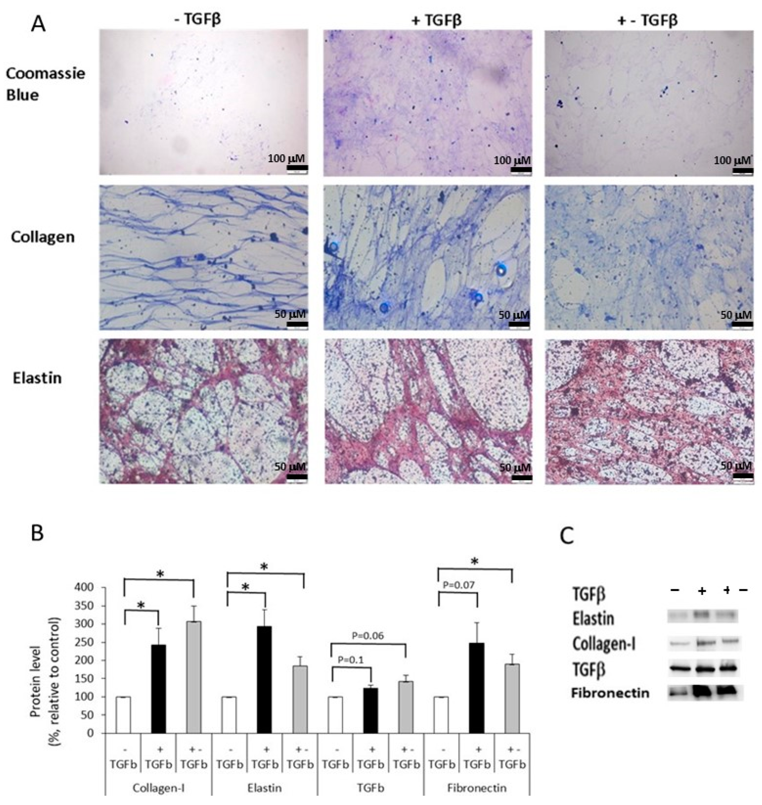 Ijms 24 08927 g003 Ijms 24 08927 g003