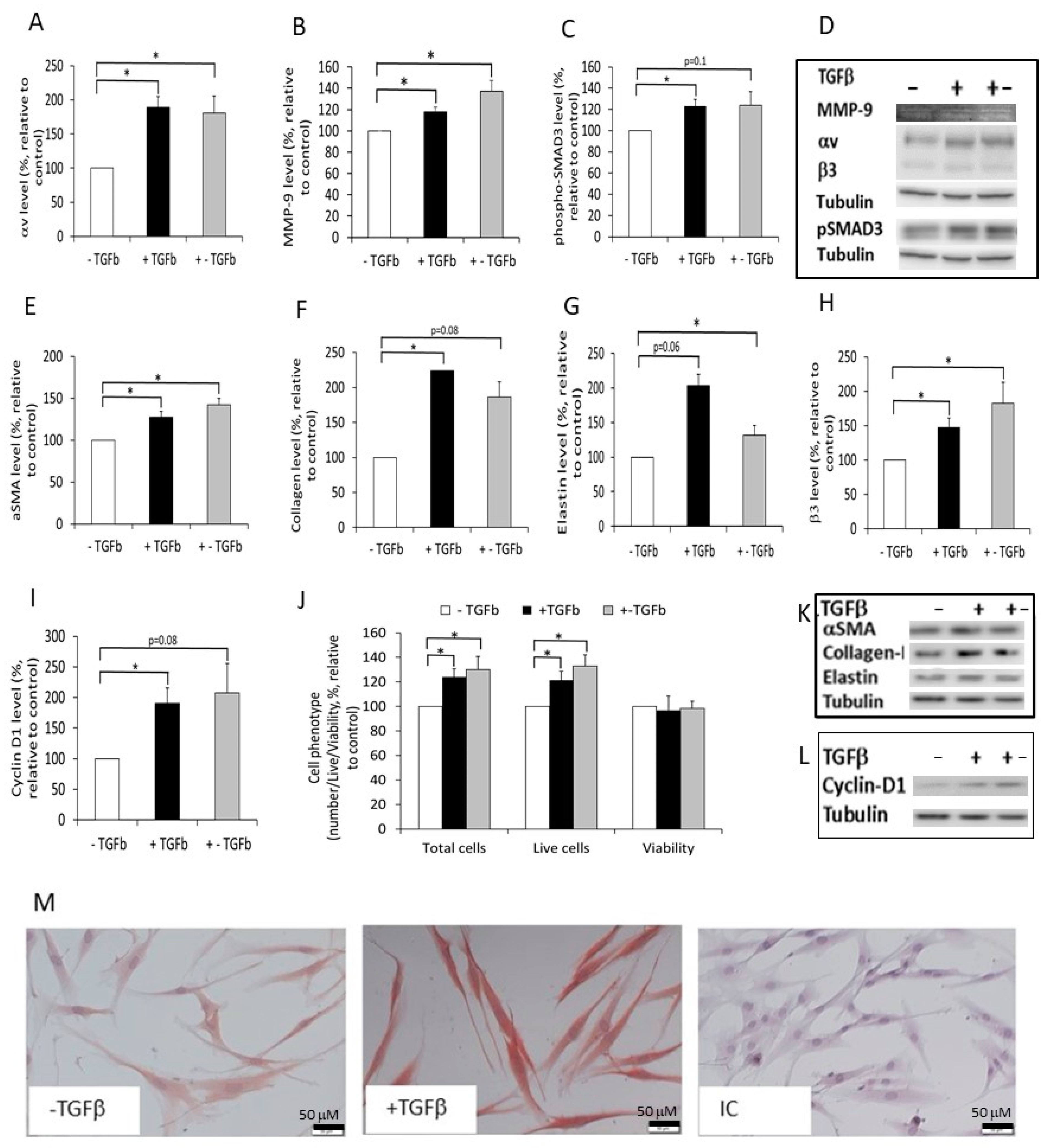 Ijms 24 08927 g004 Ijms 24 08927 g004