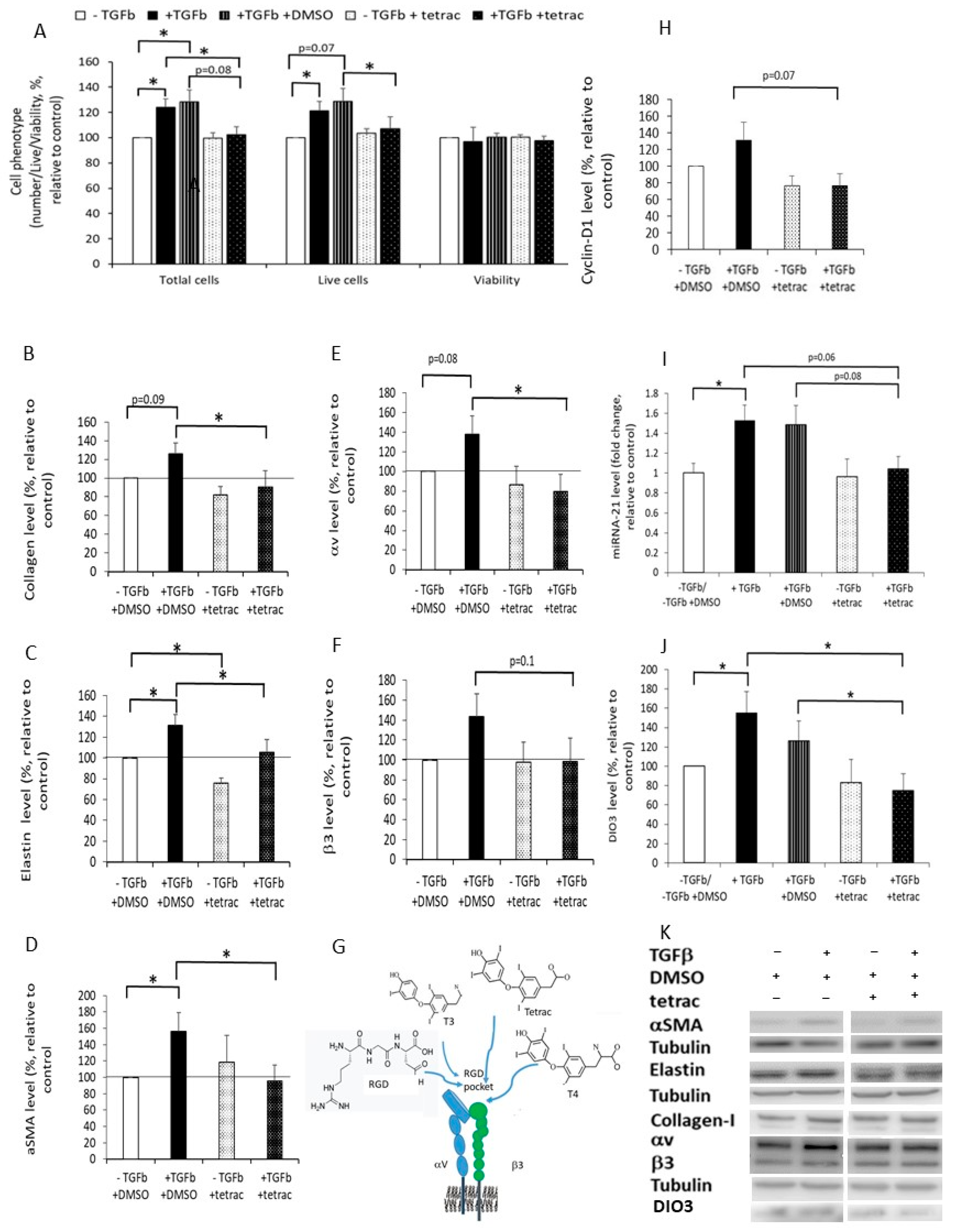 Ijms 24 08927 g005 Ijms 24 08927 g005