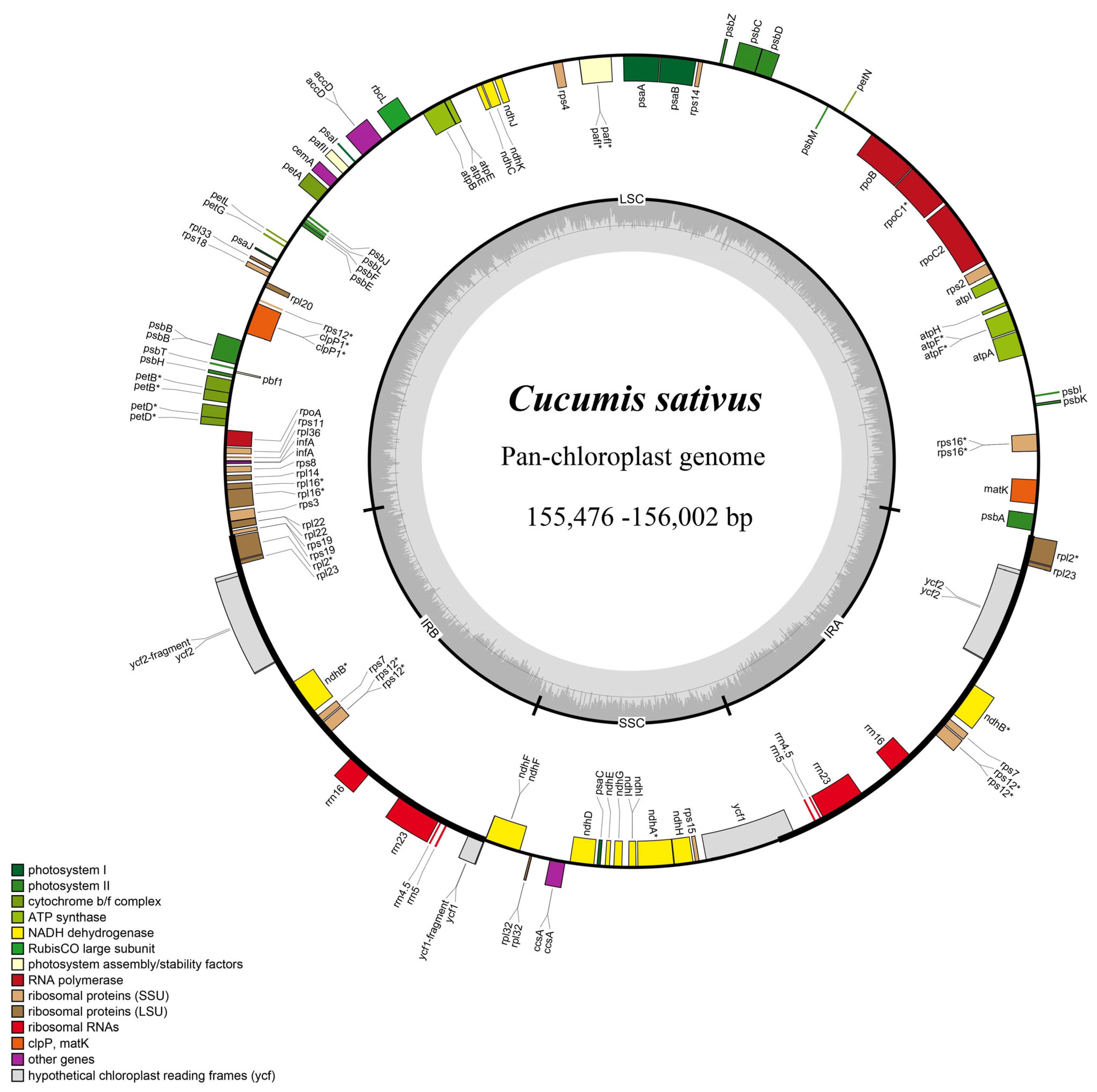 Ijms 24 08943 g001 Ijms 24 08943 g001