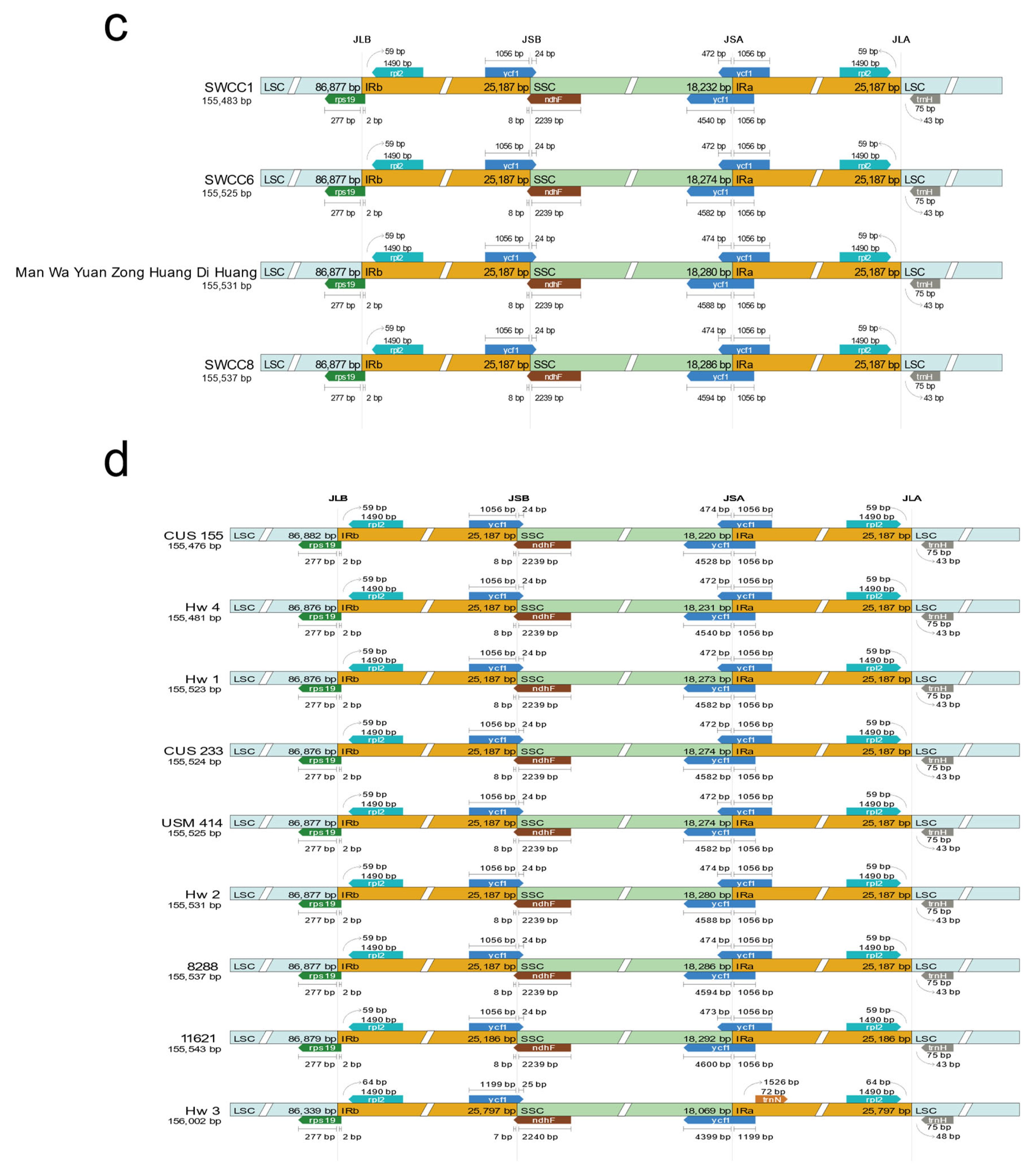 Ijms 24 08943 g002b Ijms 24 08943 g002b