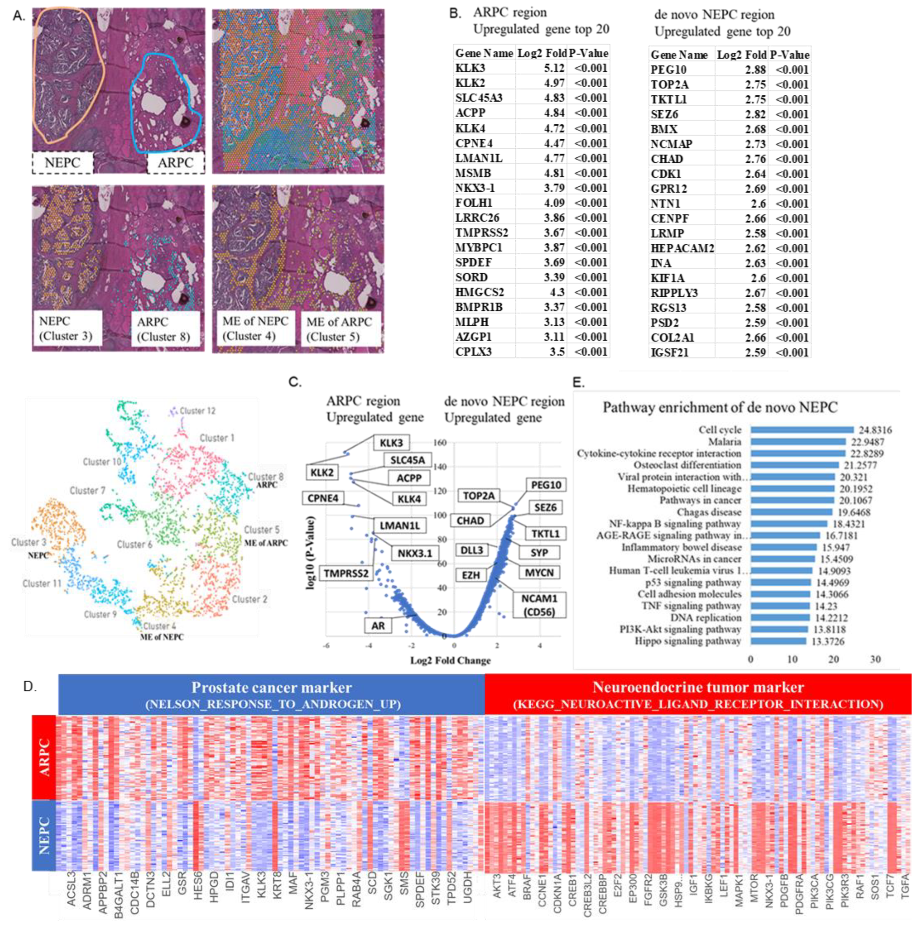 Ijms 24 08955 g001 Ijms 24 08955 g001