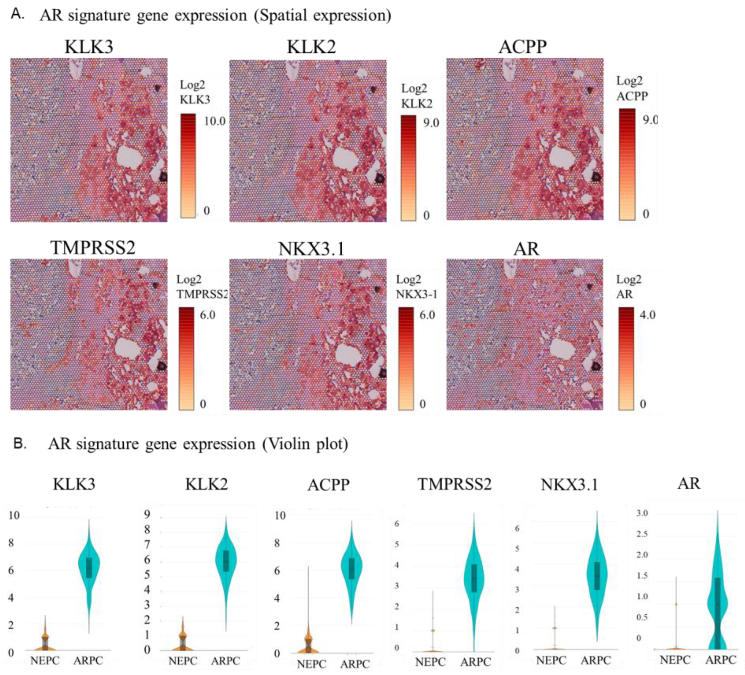 Ijms 24 08955 g002a Ijms 24 08955 g002a