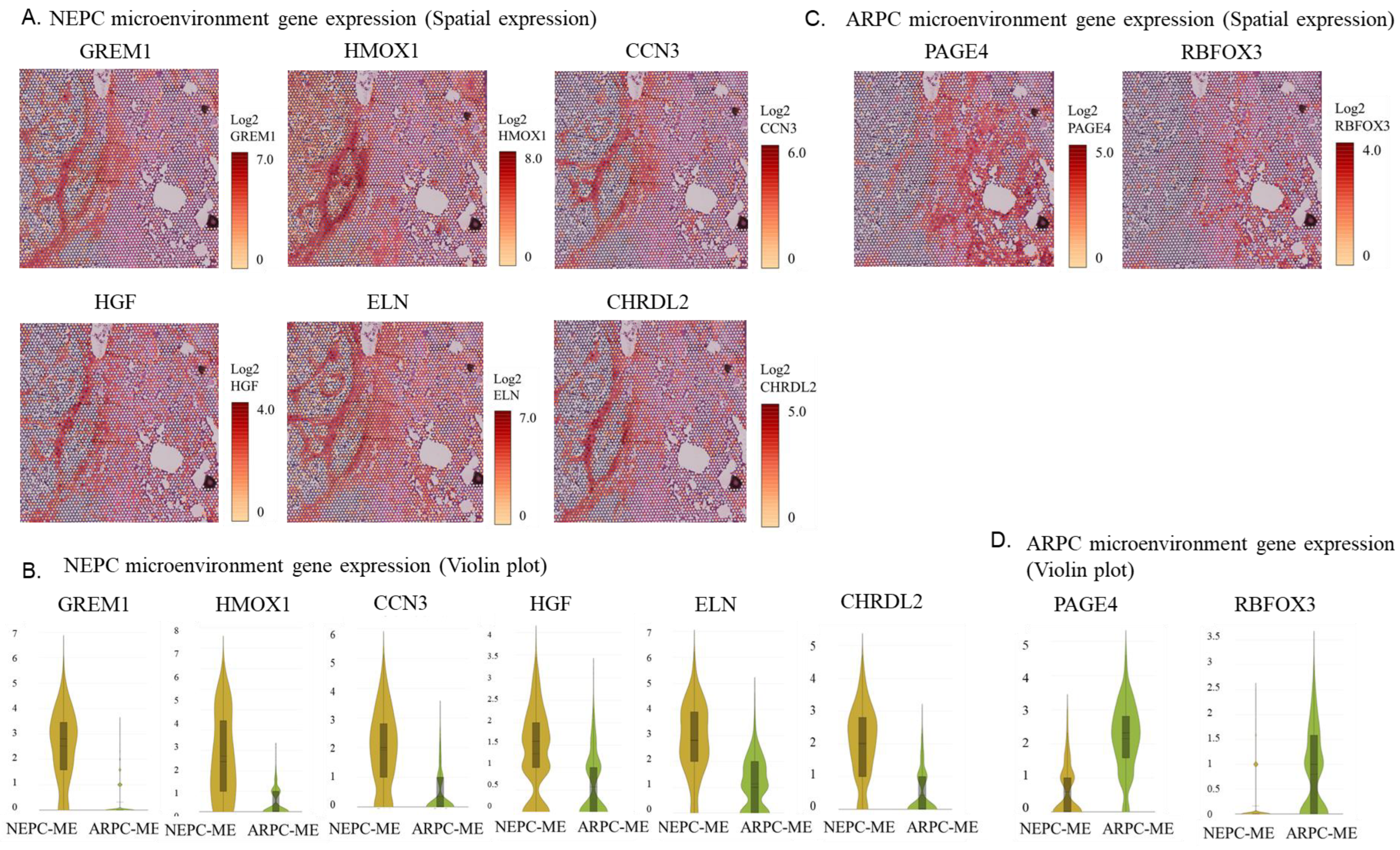 Ijms 24 08955 g005 Ijms 24 08955 g005