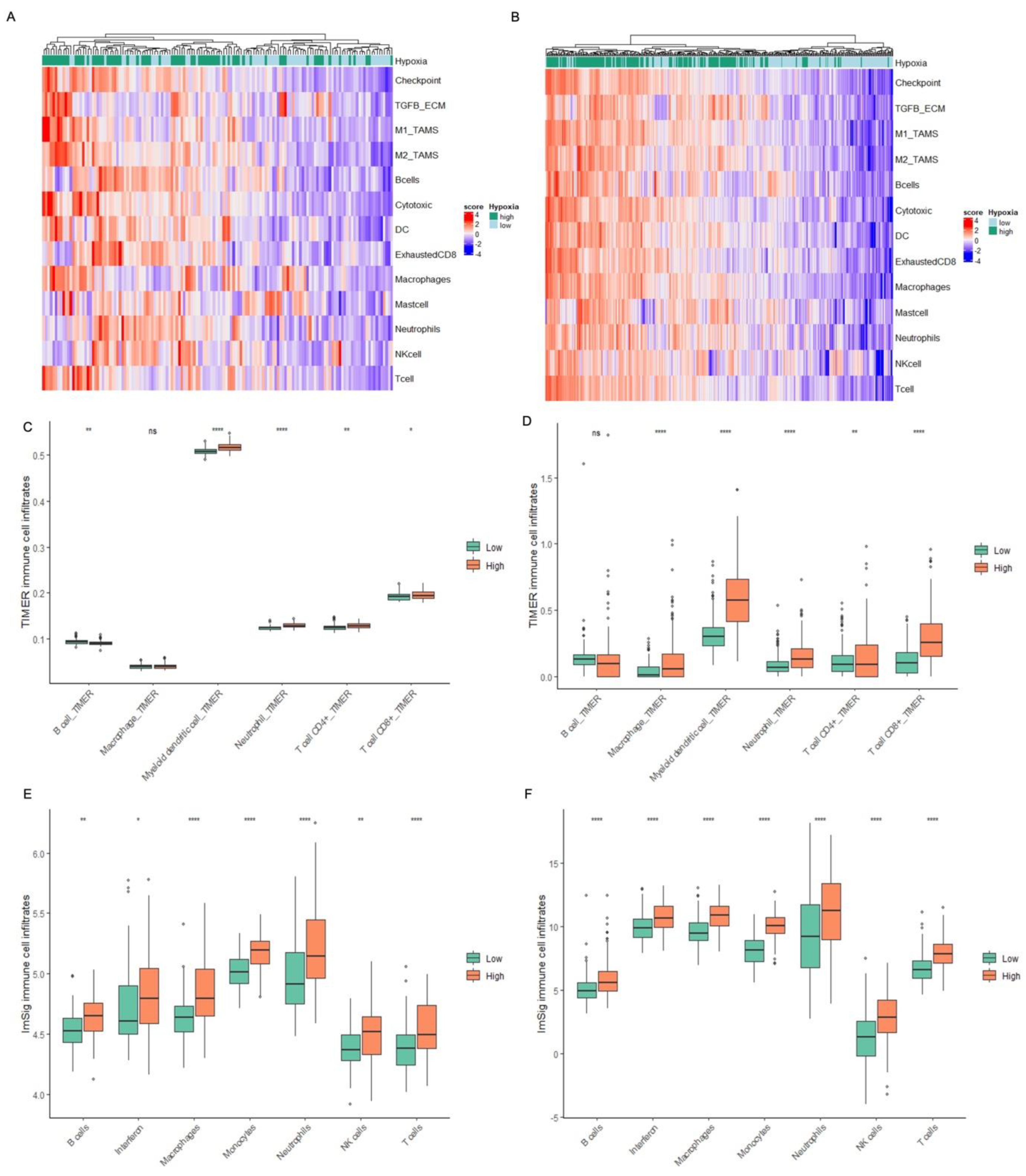 Ijms 24 08956 g004 Ijms 24 08956 g004