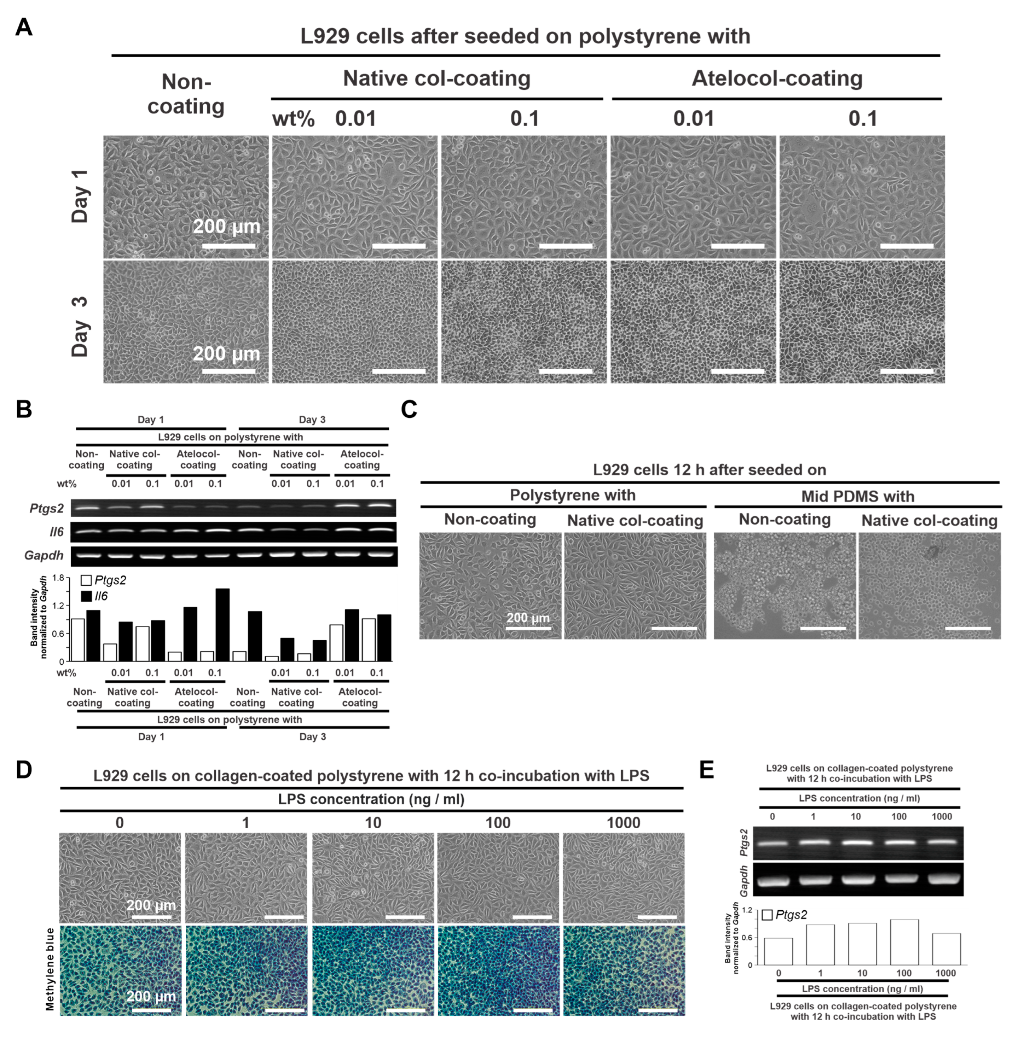 Ijms 24 08959 g001 Ijms 24 08959 g001