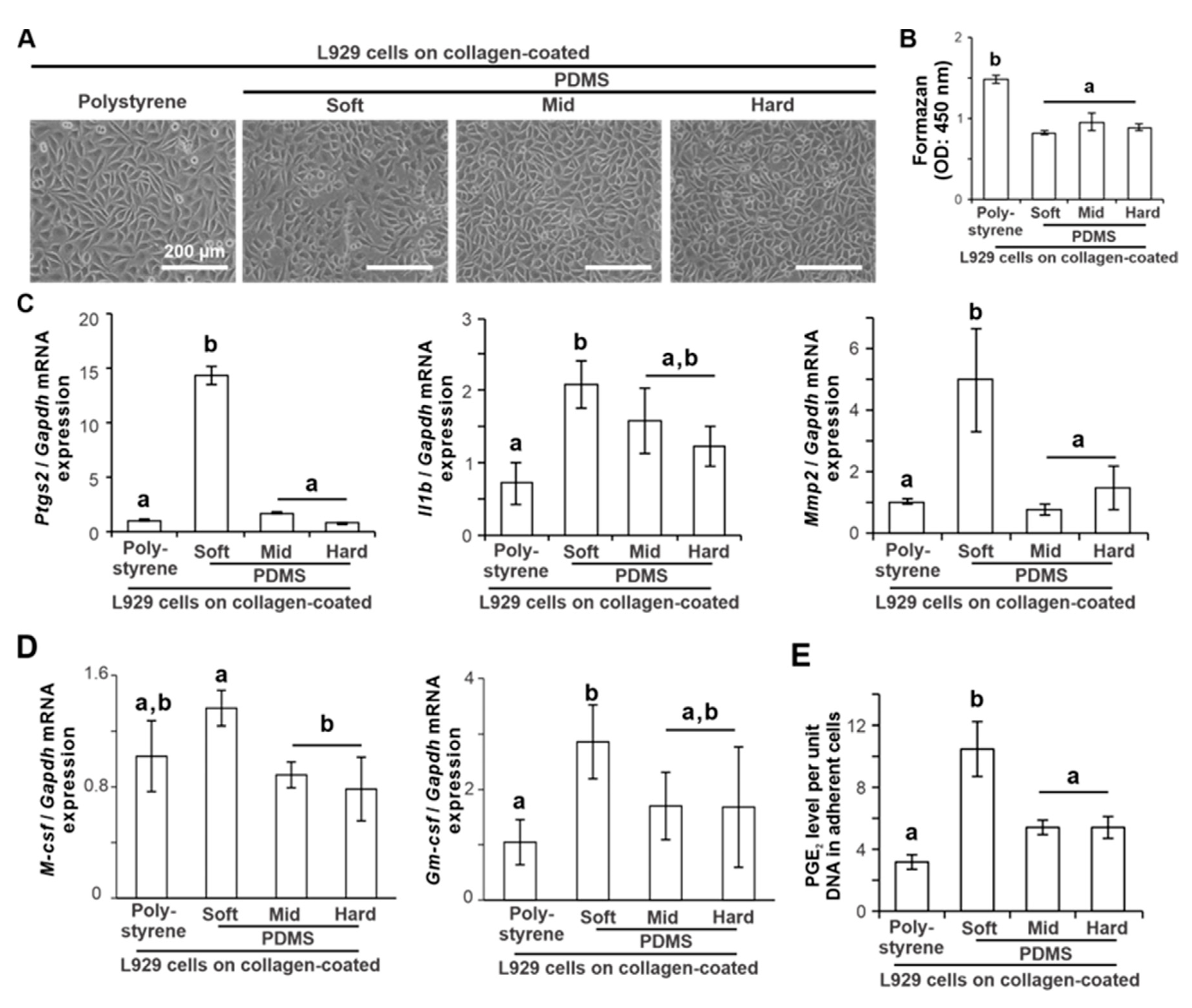Ijms 24 08959 g002 Ijms 24 08959 g002