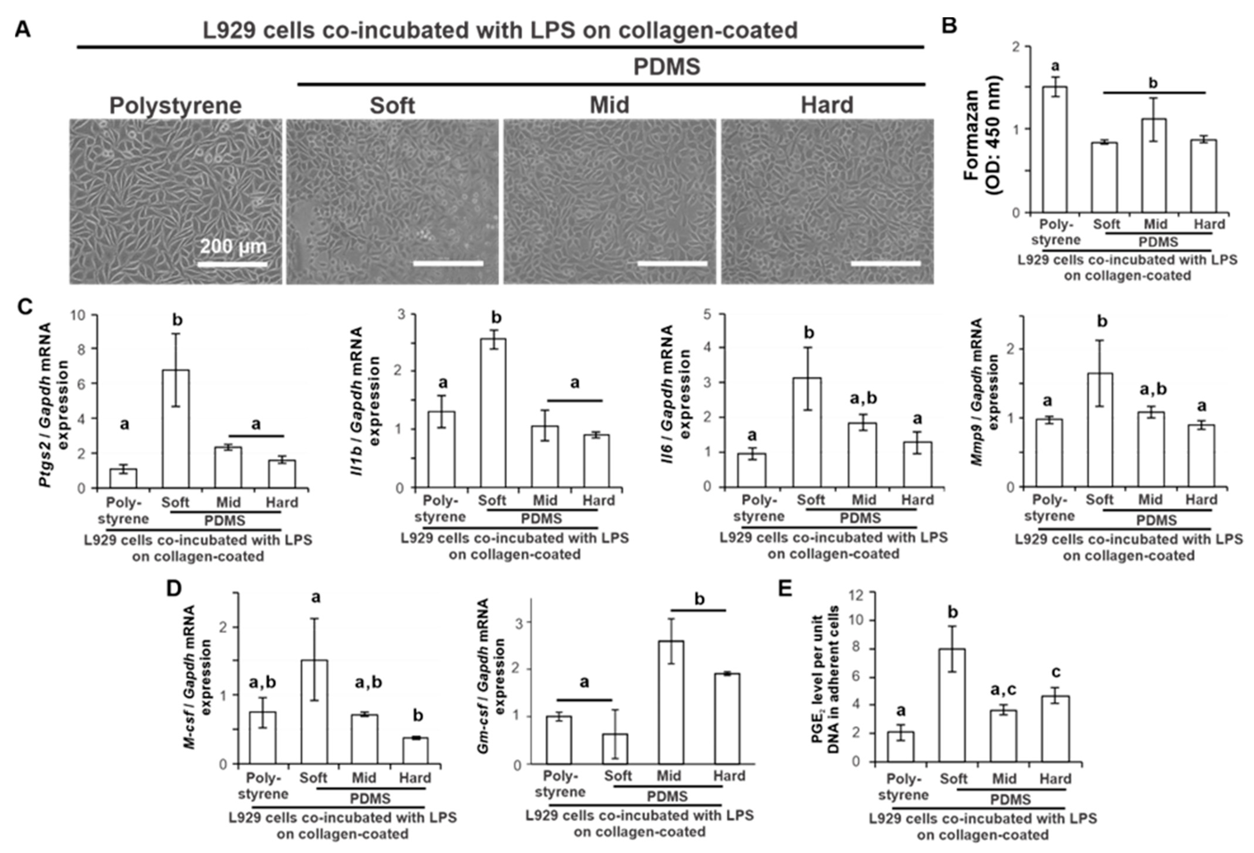 Ijms 24 08959 g003 Ijms 24 08959 g003